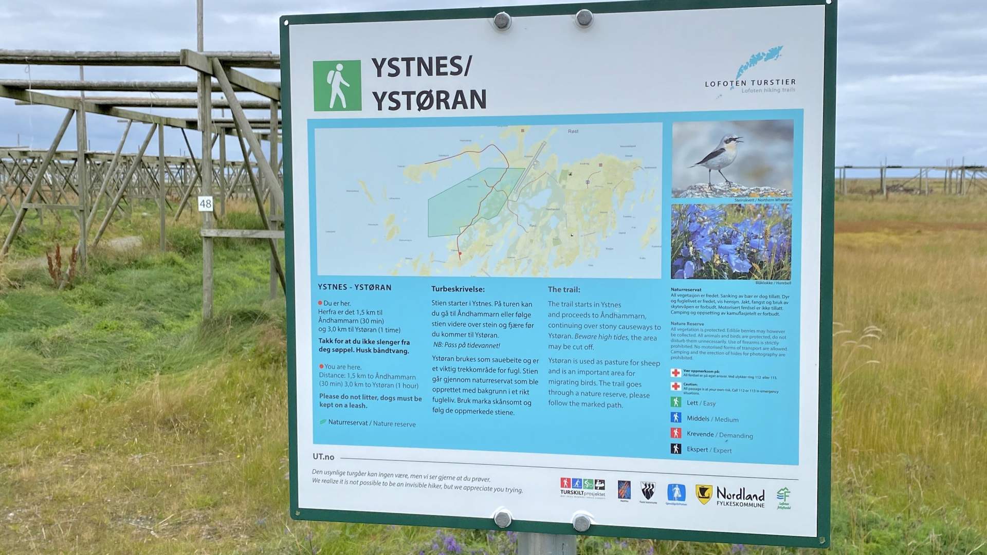 Ystøran