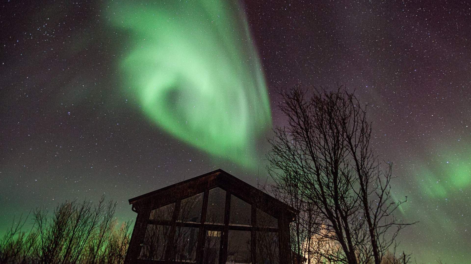 The Distillery Cabin 