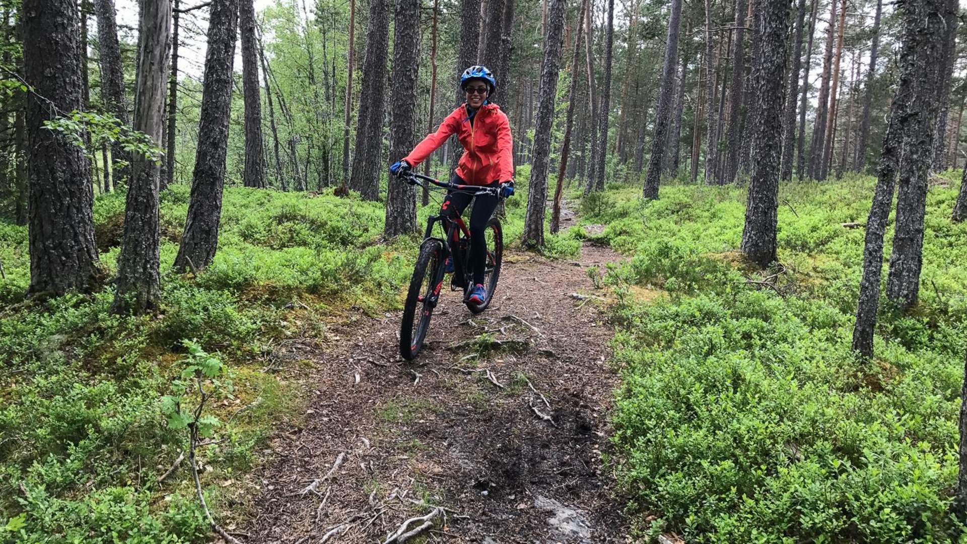 MTB utleige