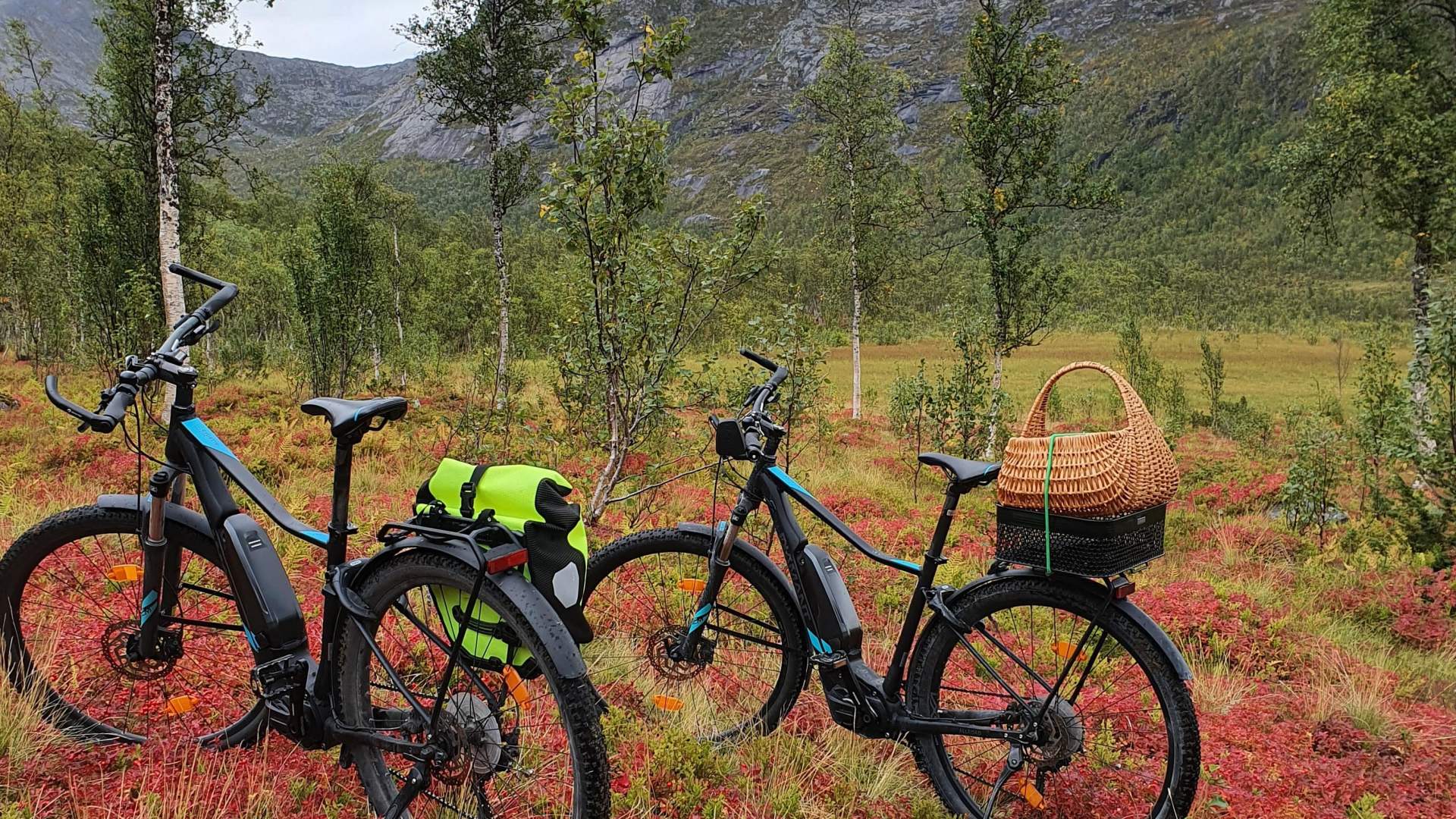 Senja rundt på el-sykkel i midnattssol