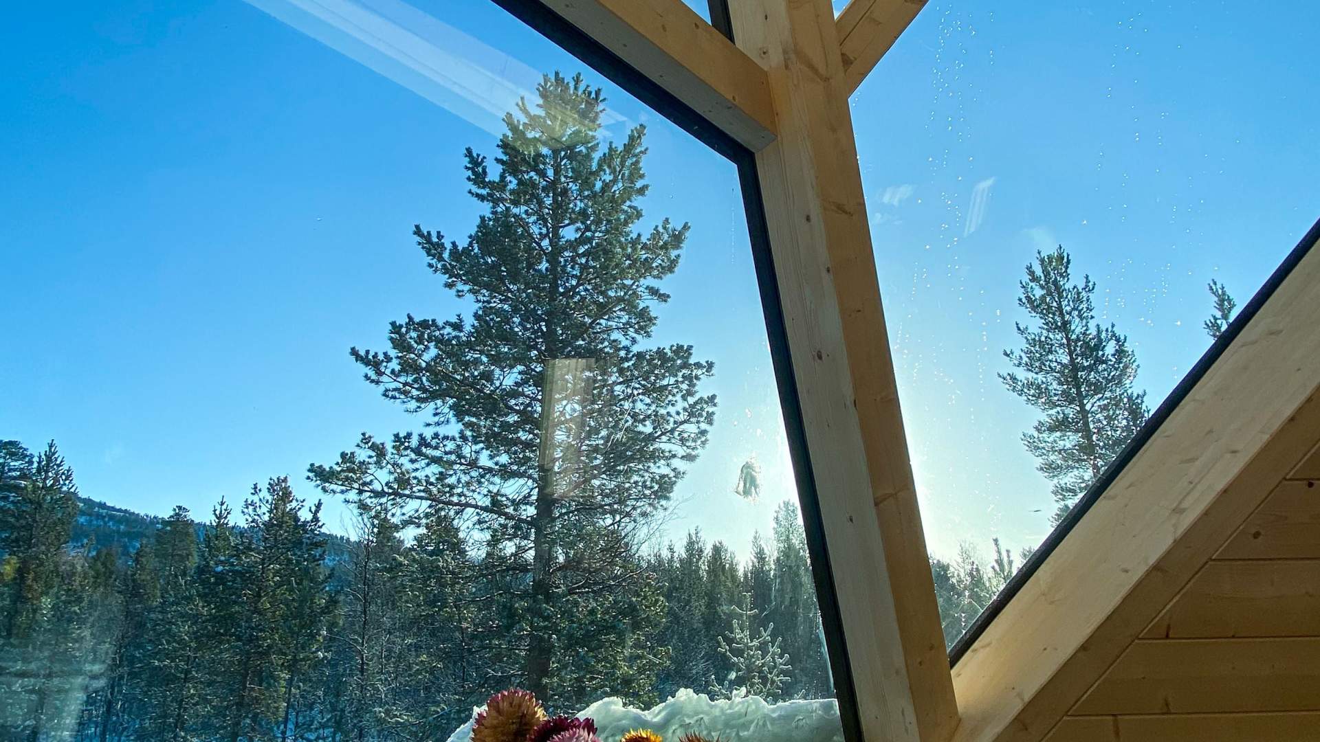Trasti&Trine Accomodation