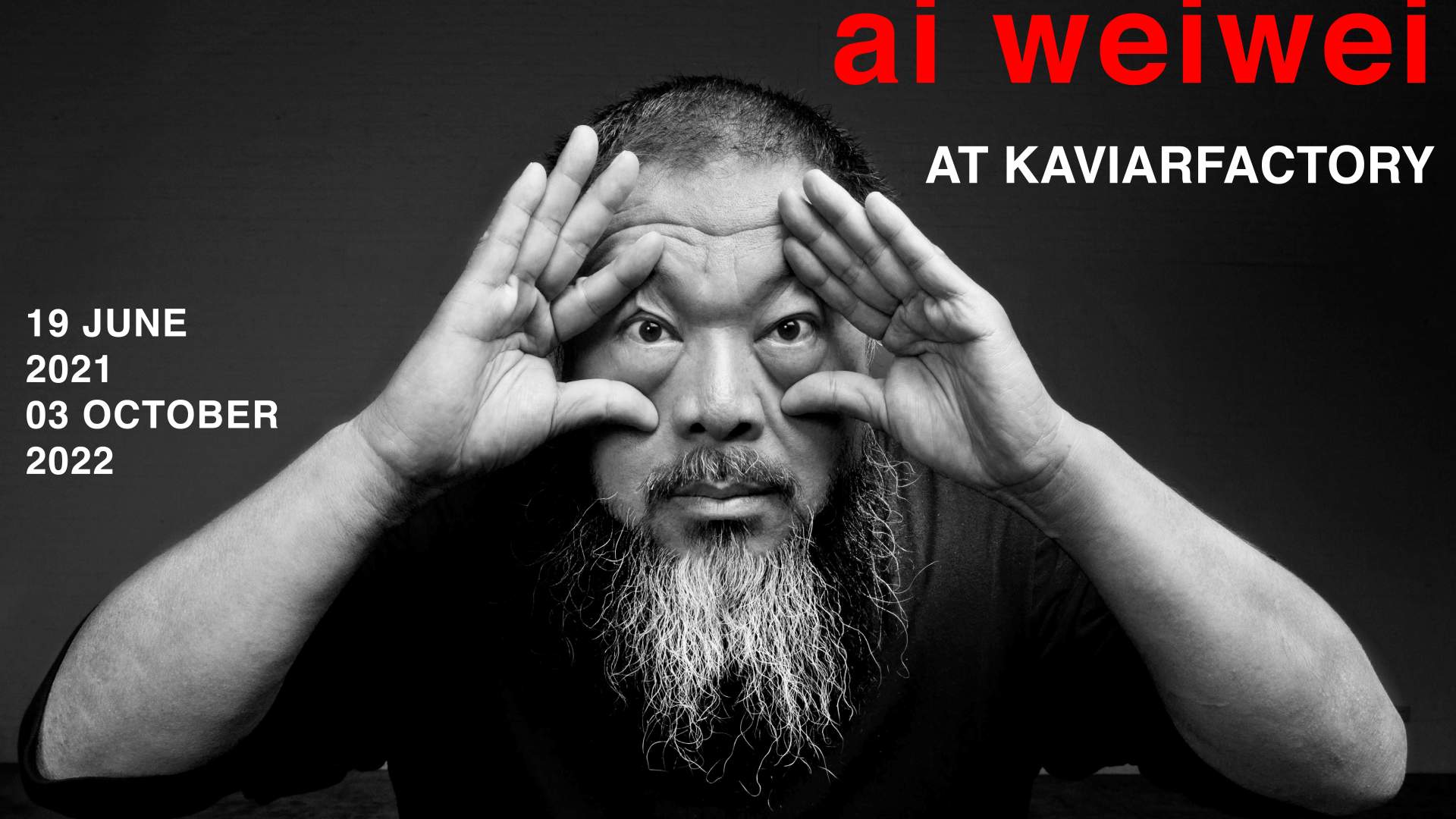 Ai Weiwei 