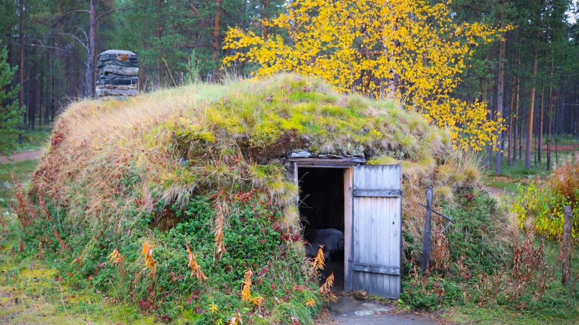 Sparrolavdnjegoahti