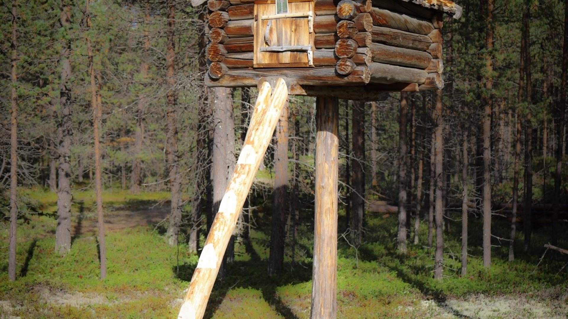 Njalla