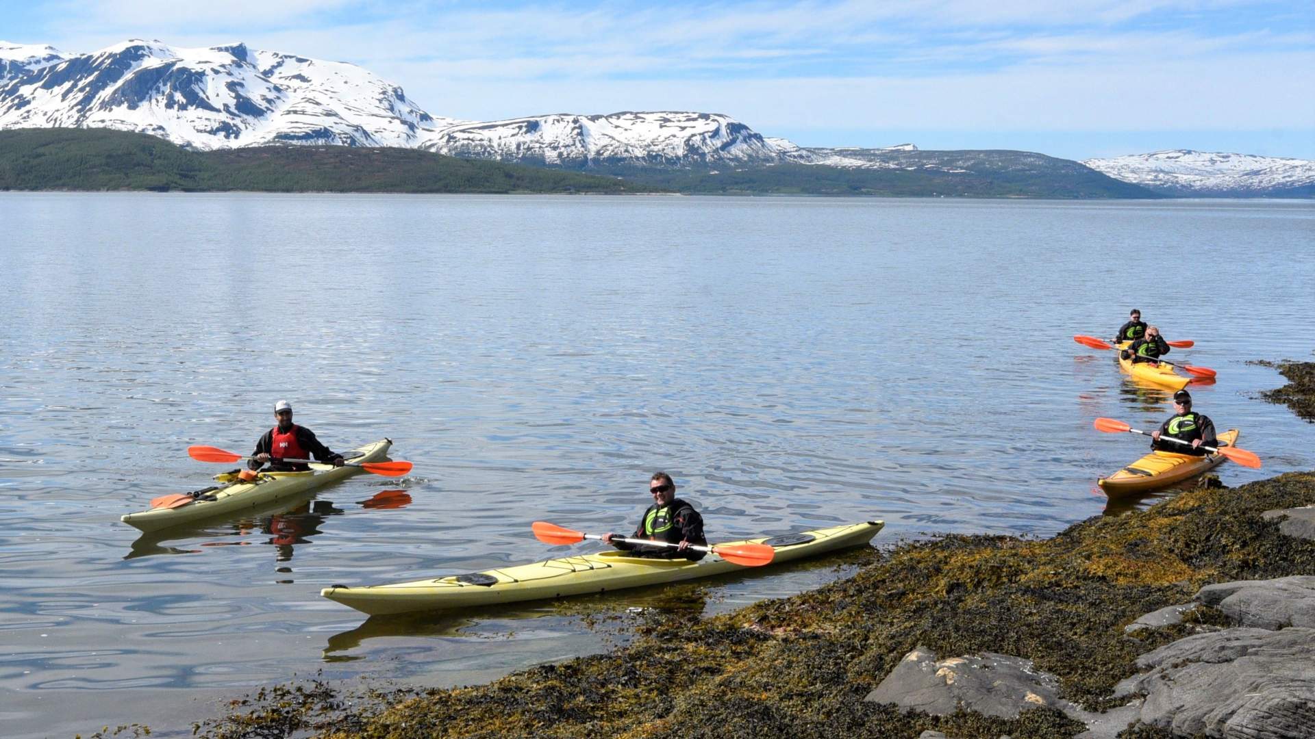 Guided Kayak tour