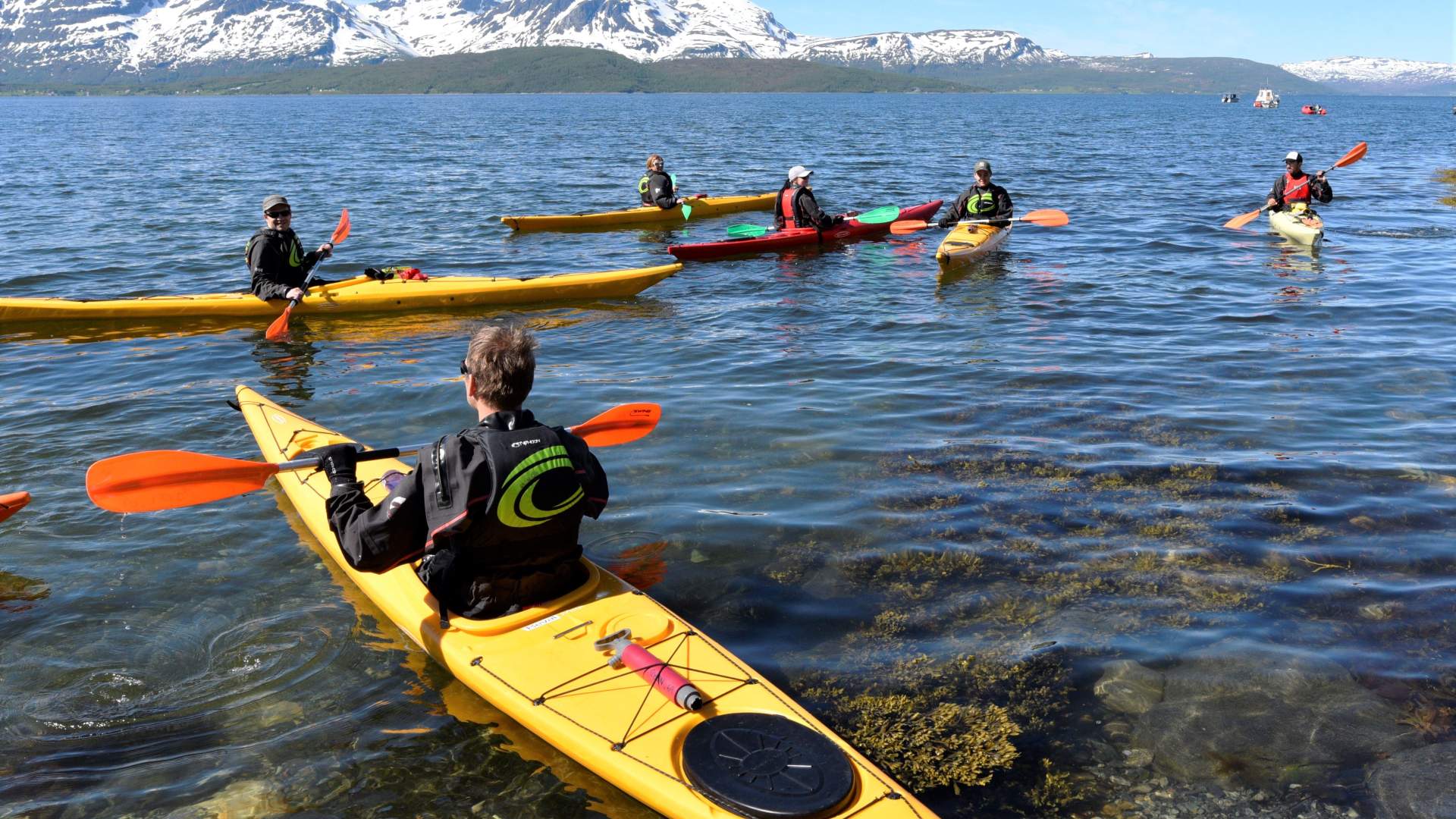 Guided Kayak tour