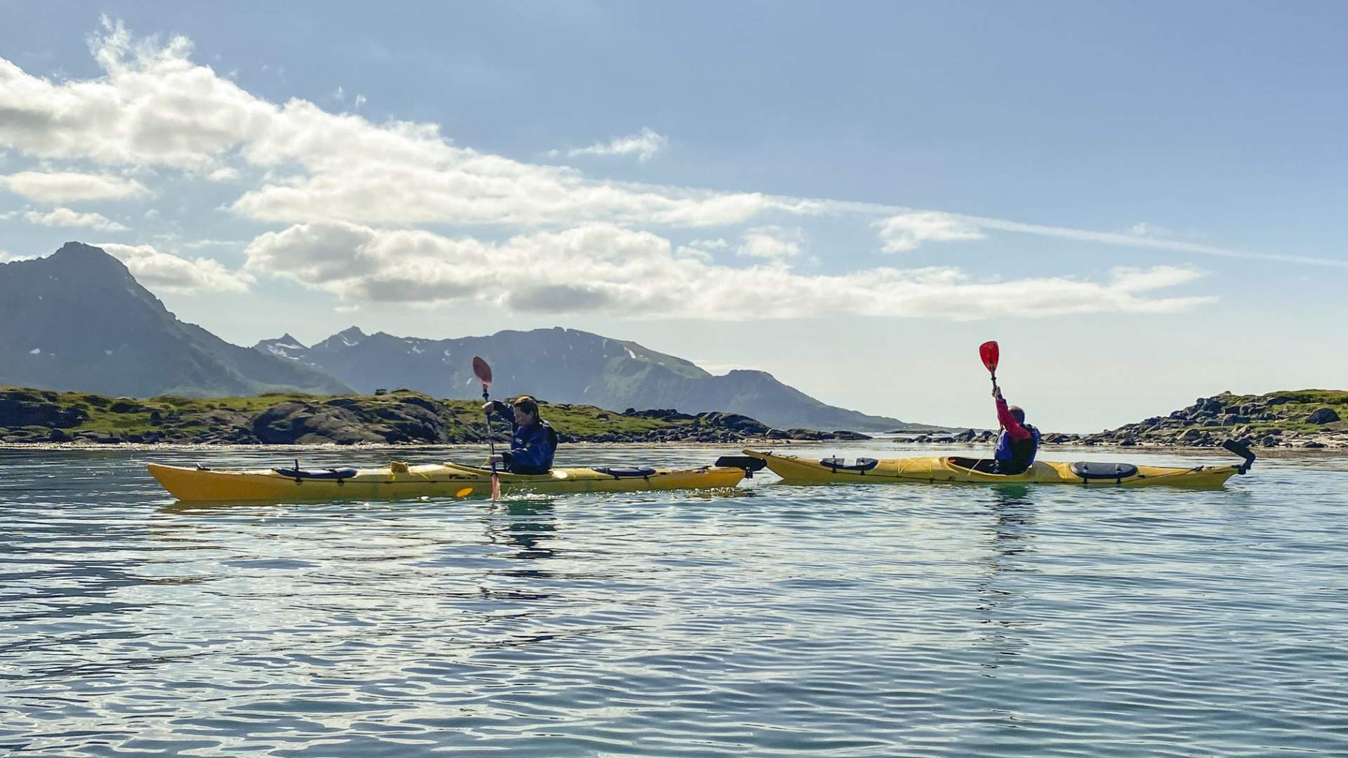 Guided Kayak Tour - See Vesterålen