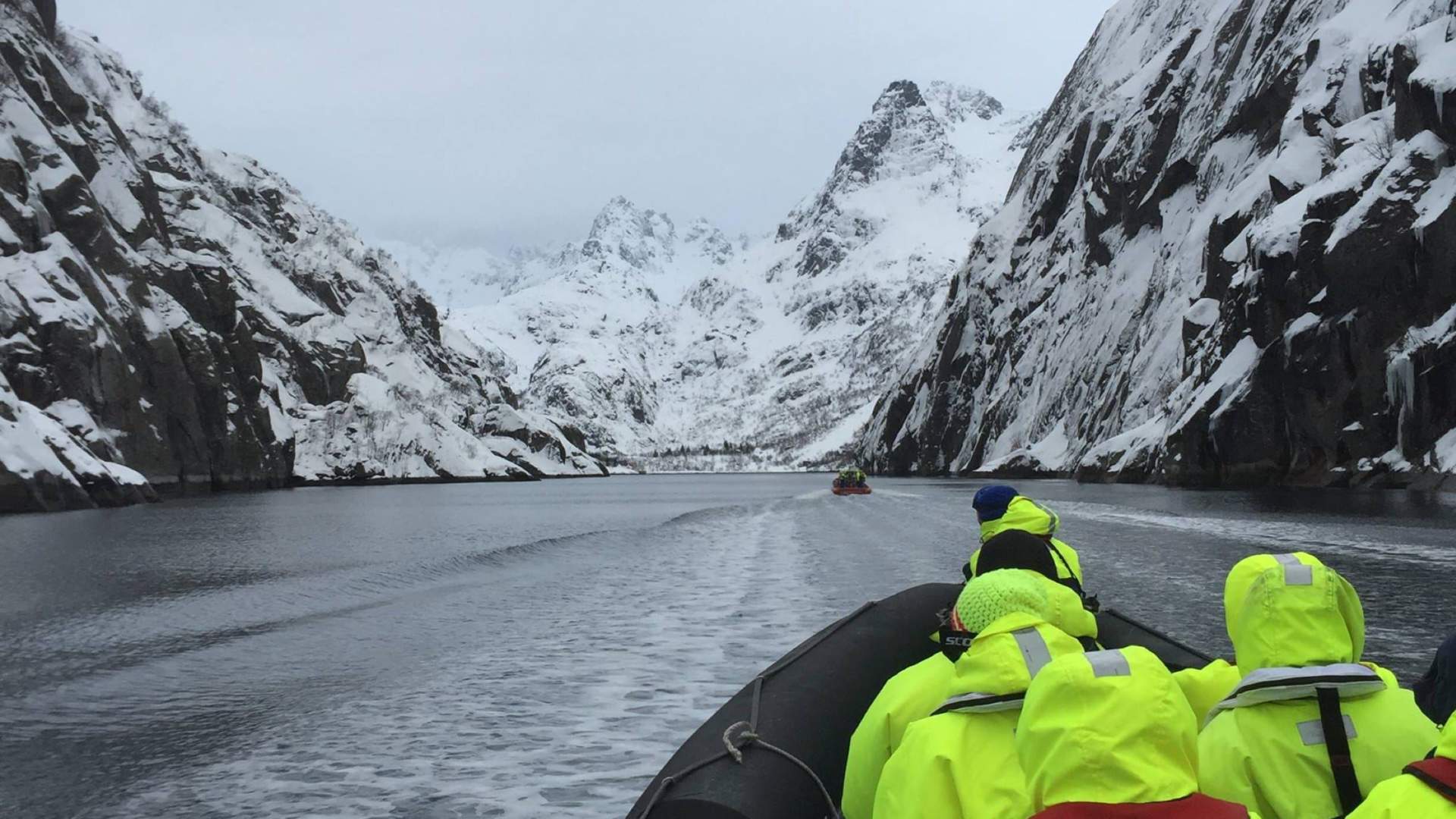 Lofoten Seafari
