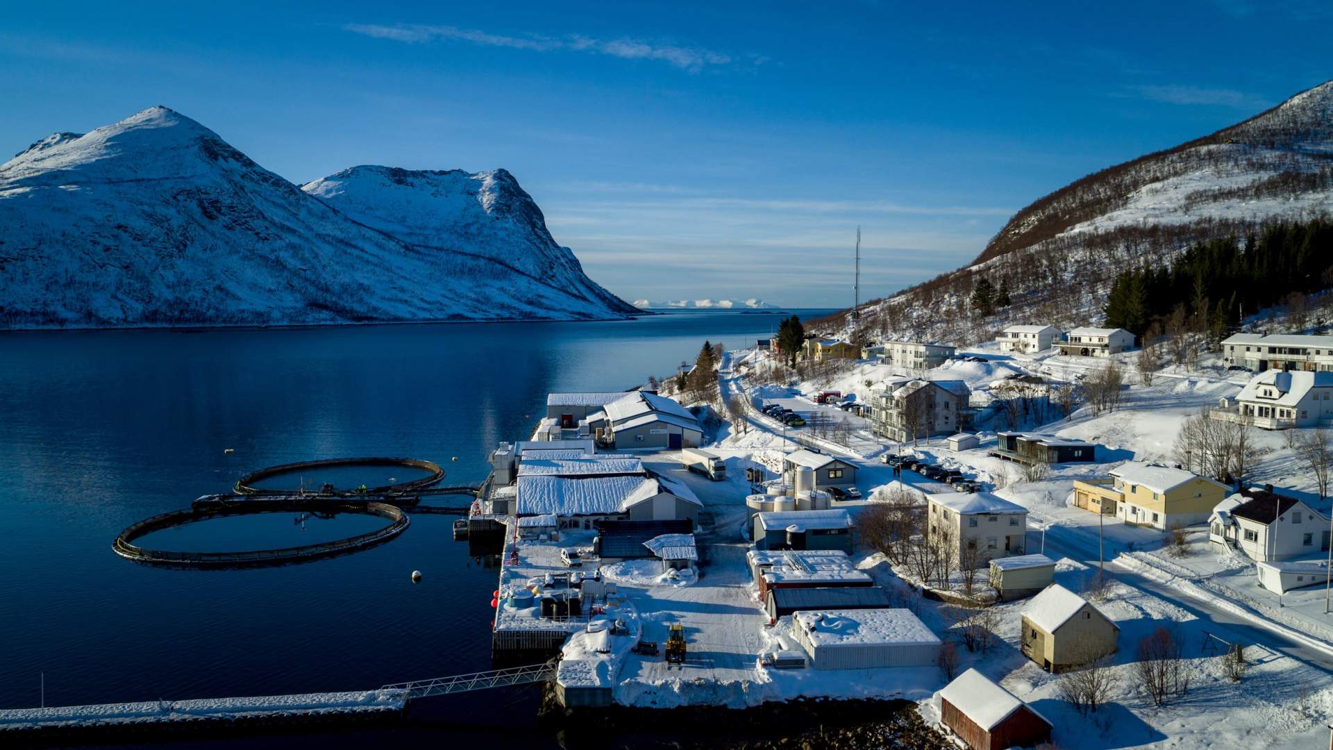 Penthouseleilighet i TorskenSenteret