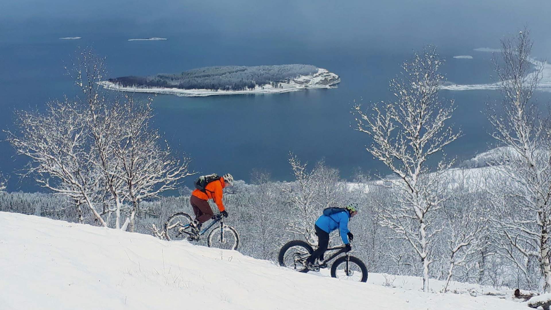 Fatbike tour in wintertime