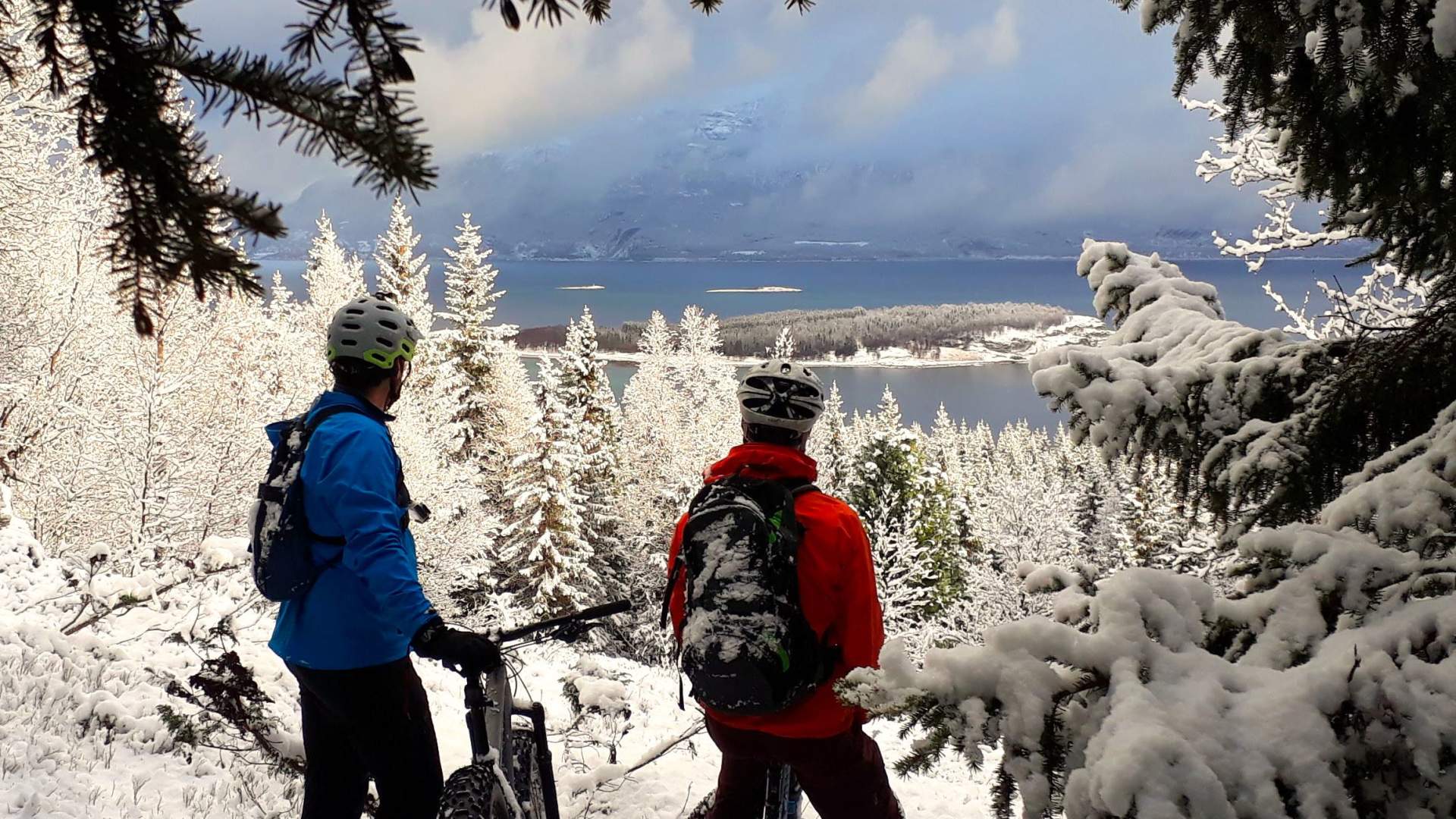 Guided fatbike experience in Lyngen