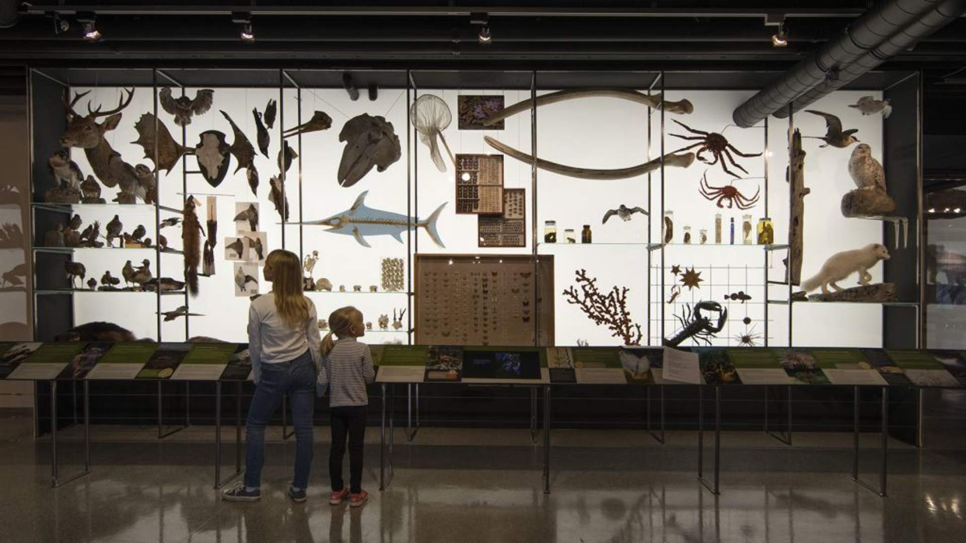 Helgeland Museum