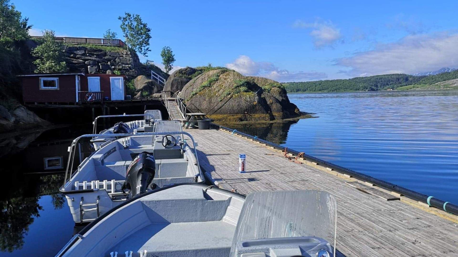 Kvitneset camping