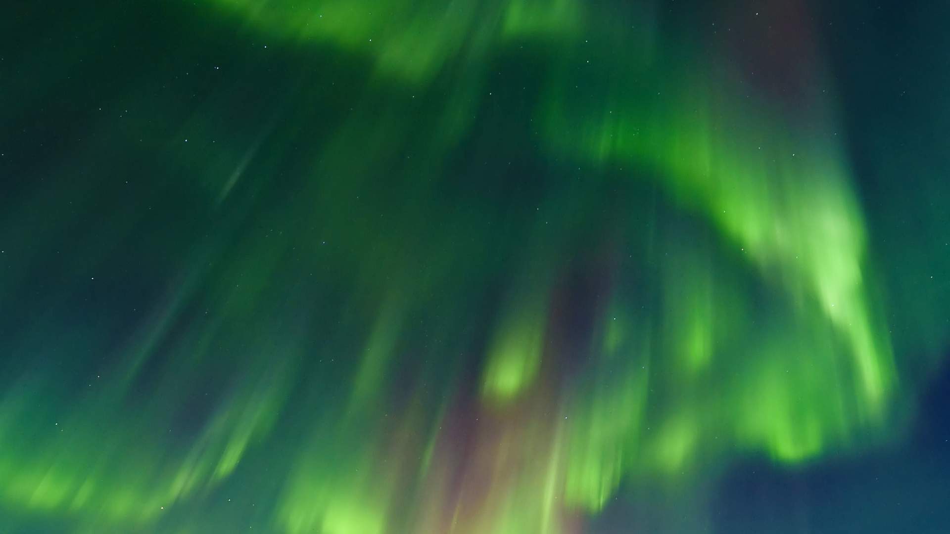 4 dagers safari med nordlys og hval