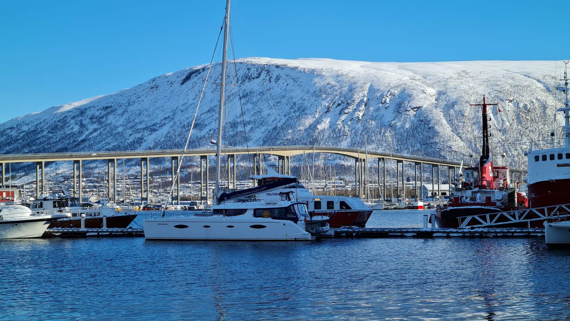 4 dagers safari med nordlys og hval