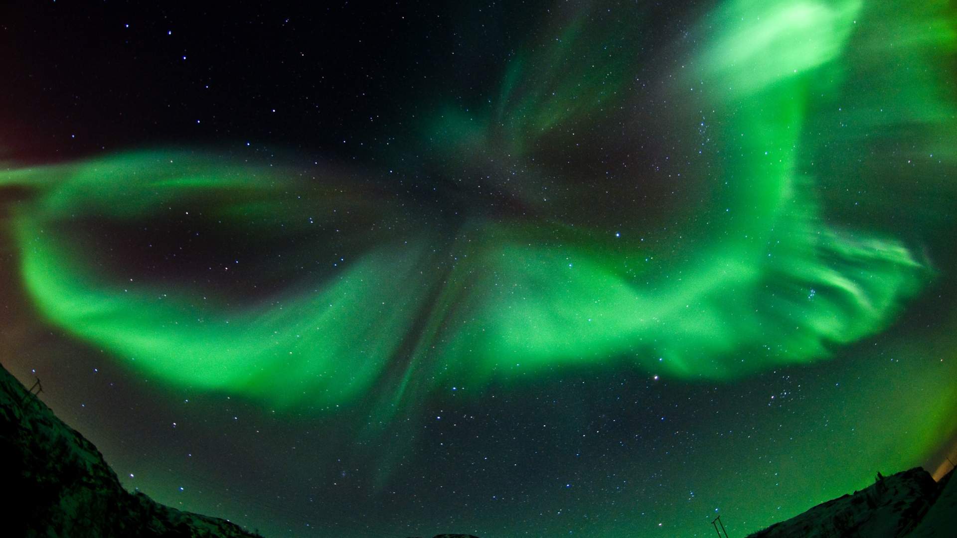 4 dagers safari med nordlys og hval