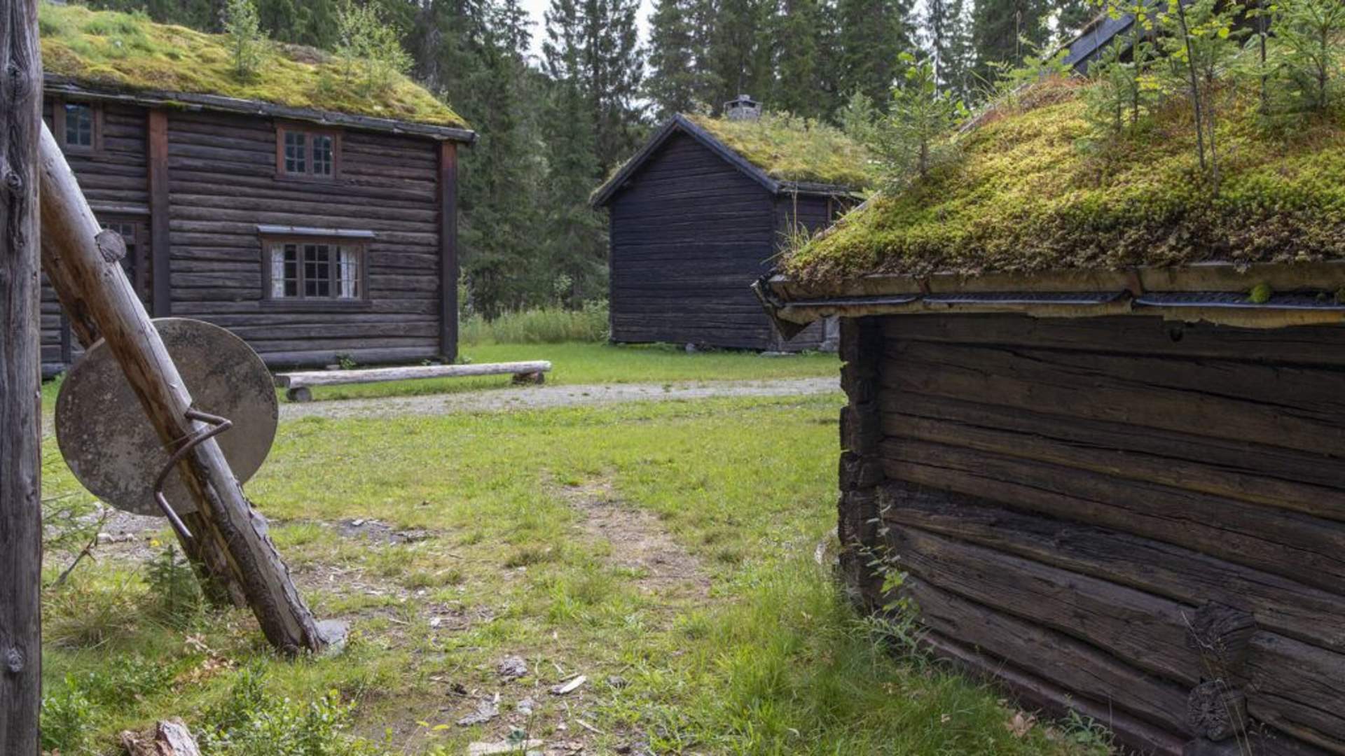 Helgeland museum