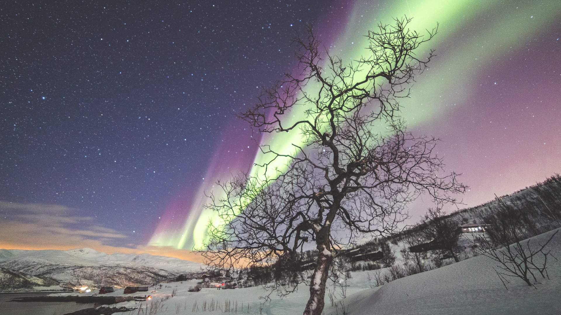 Aurora Discovery - the ultimate aurora chase in a small group