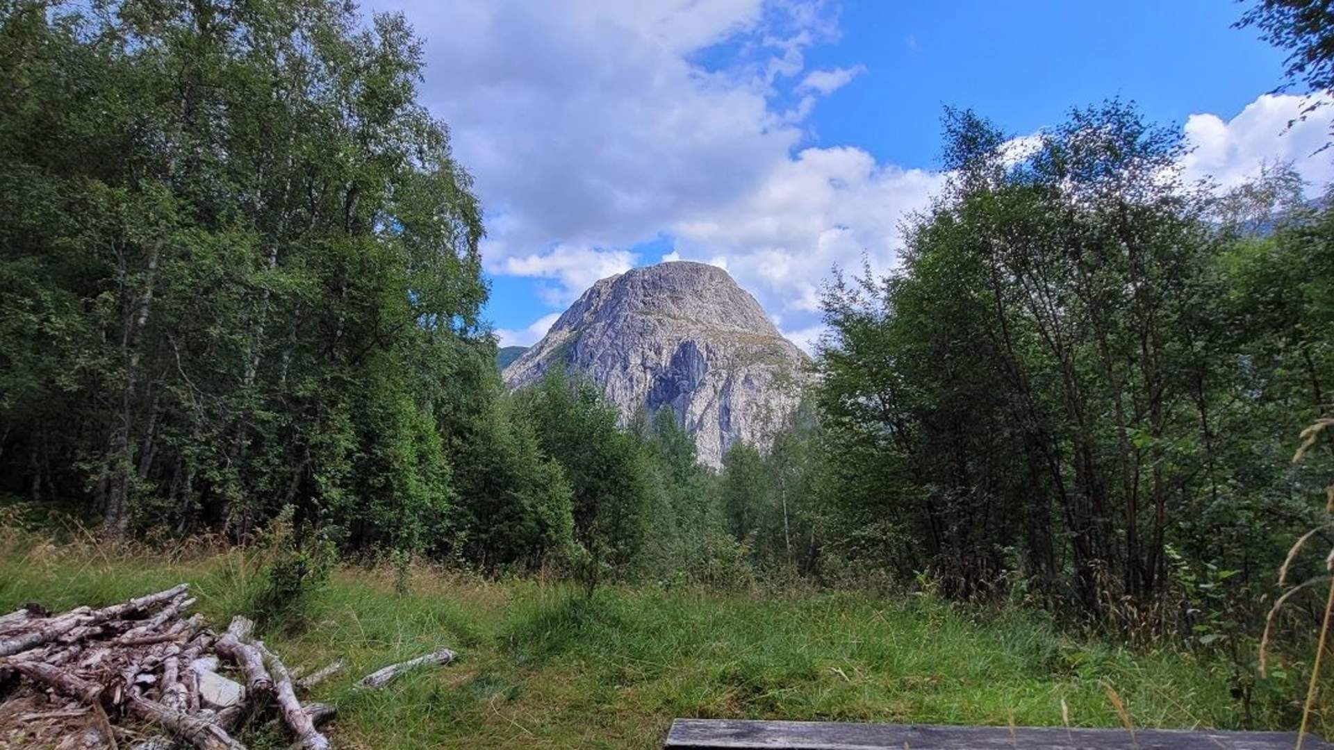 Nåli