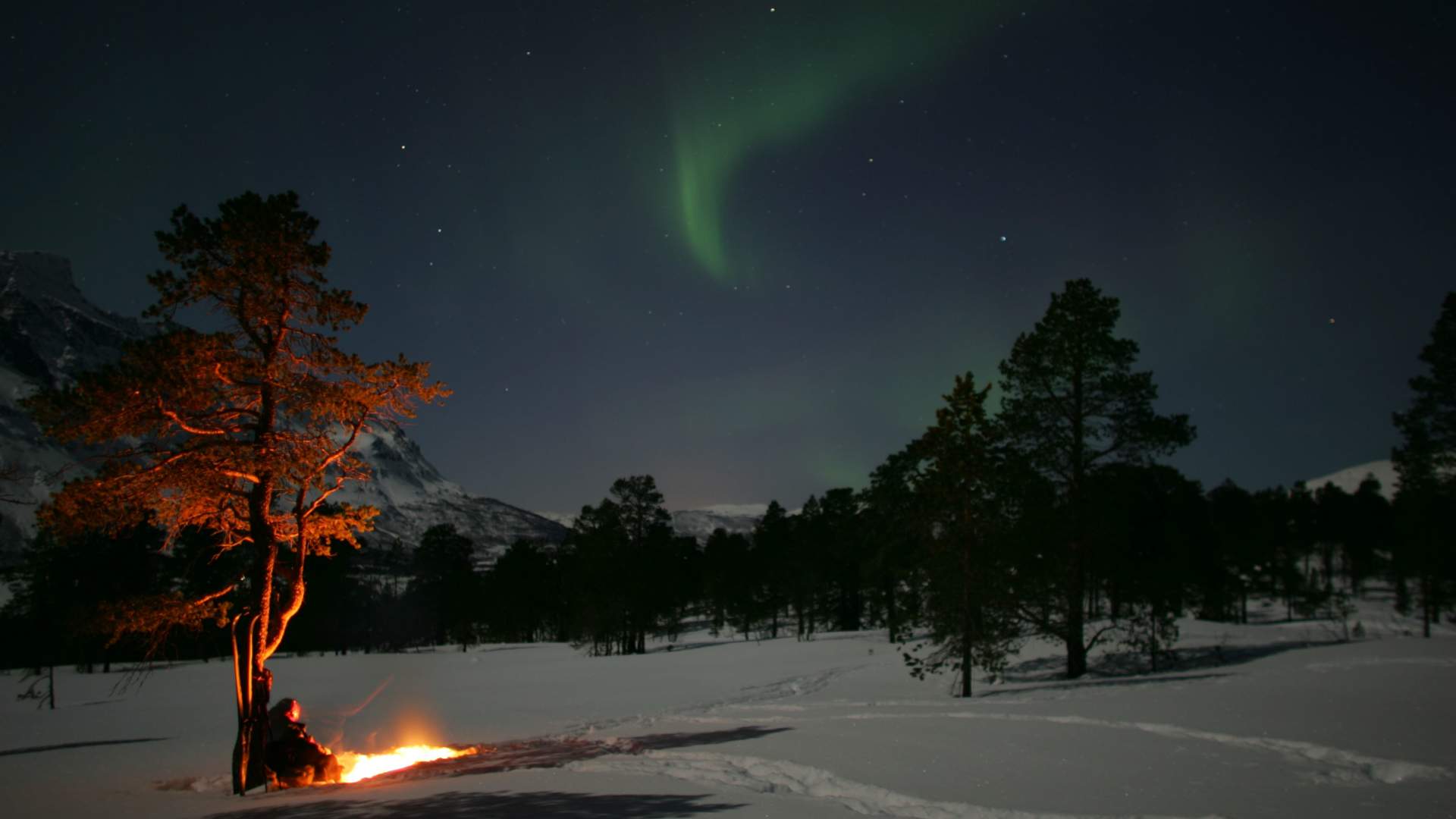 Northern Lights safari from Bodø