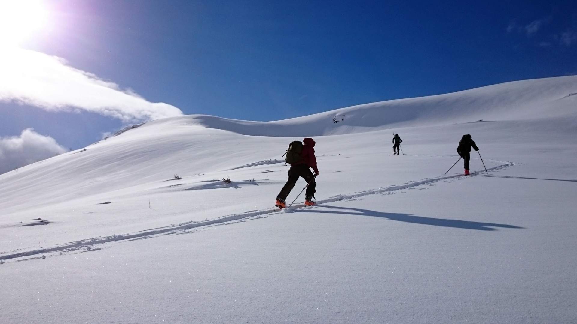 Skitouring mountain range "Raundalsryggen" with Wild Voss