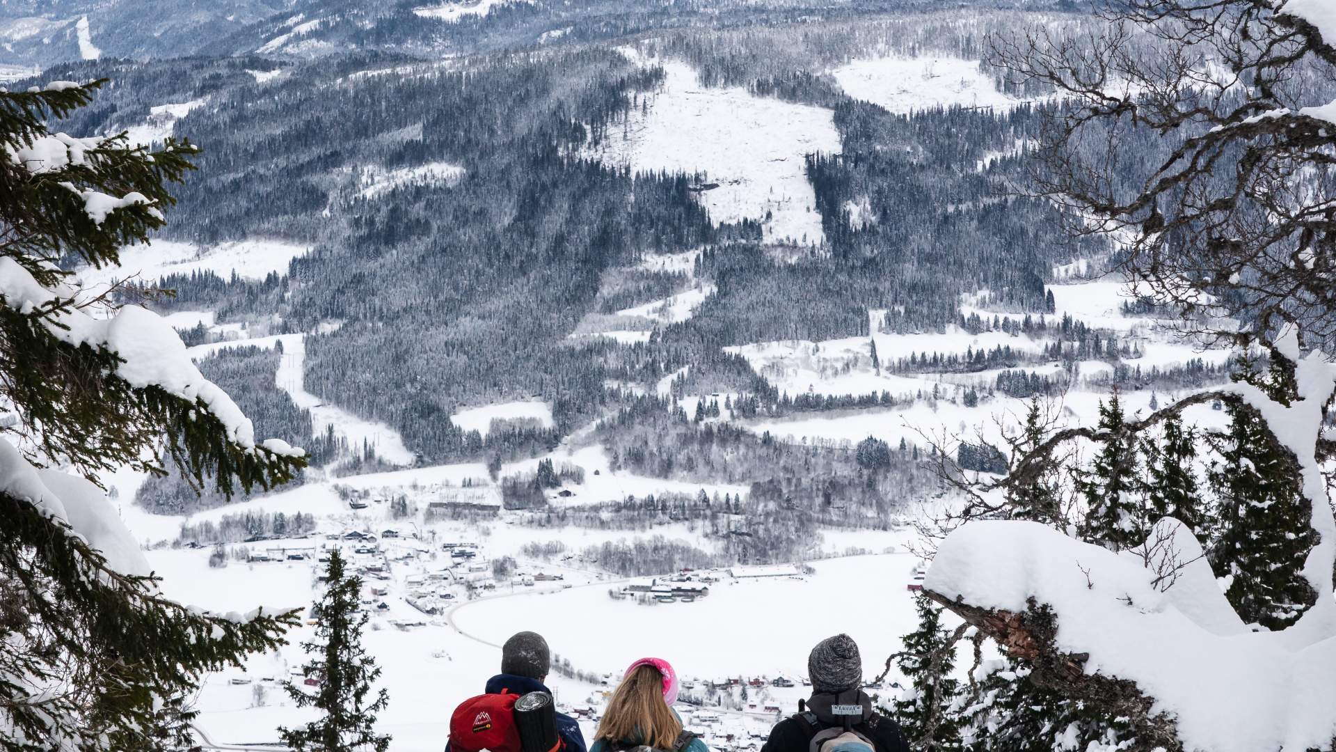 Snowshoeing in Voss