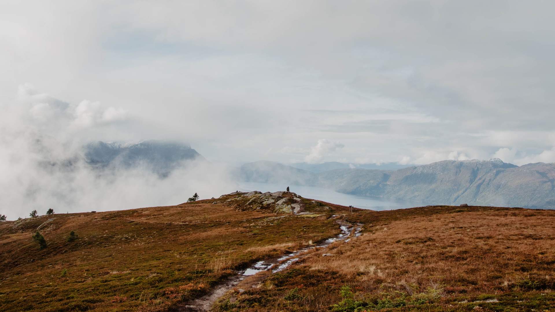 Haugsvarden