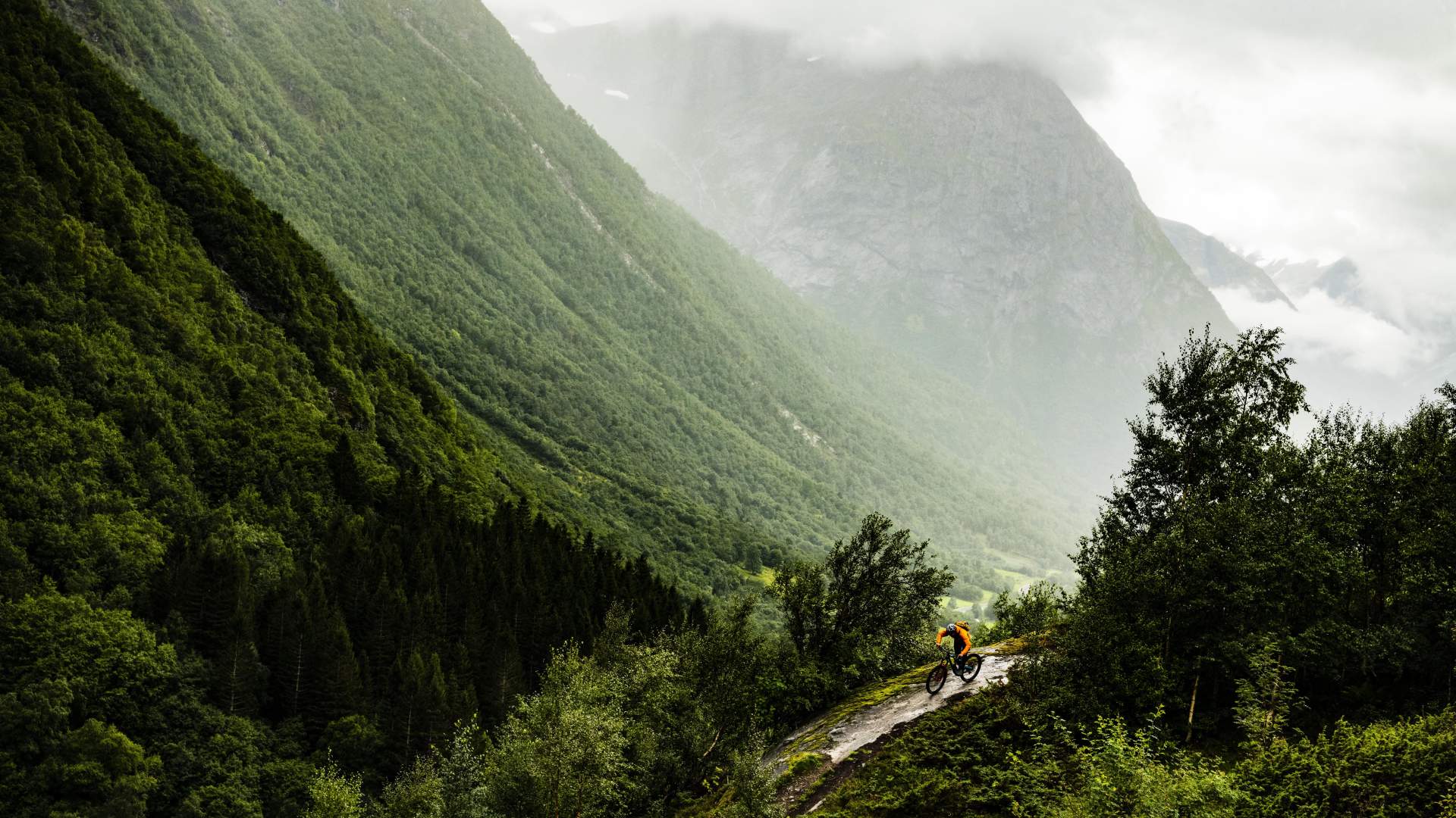 Trail cycling | Stryn