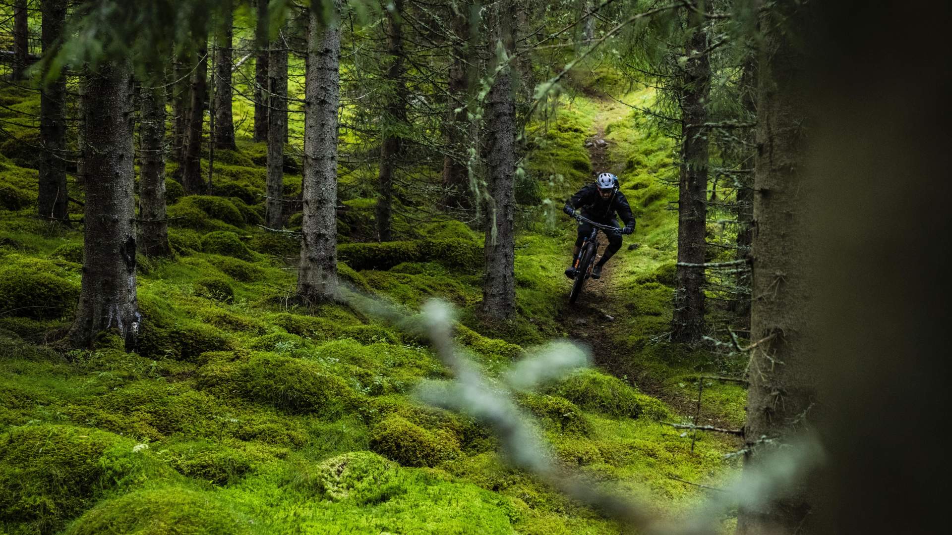Trail cycling | Stryn