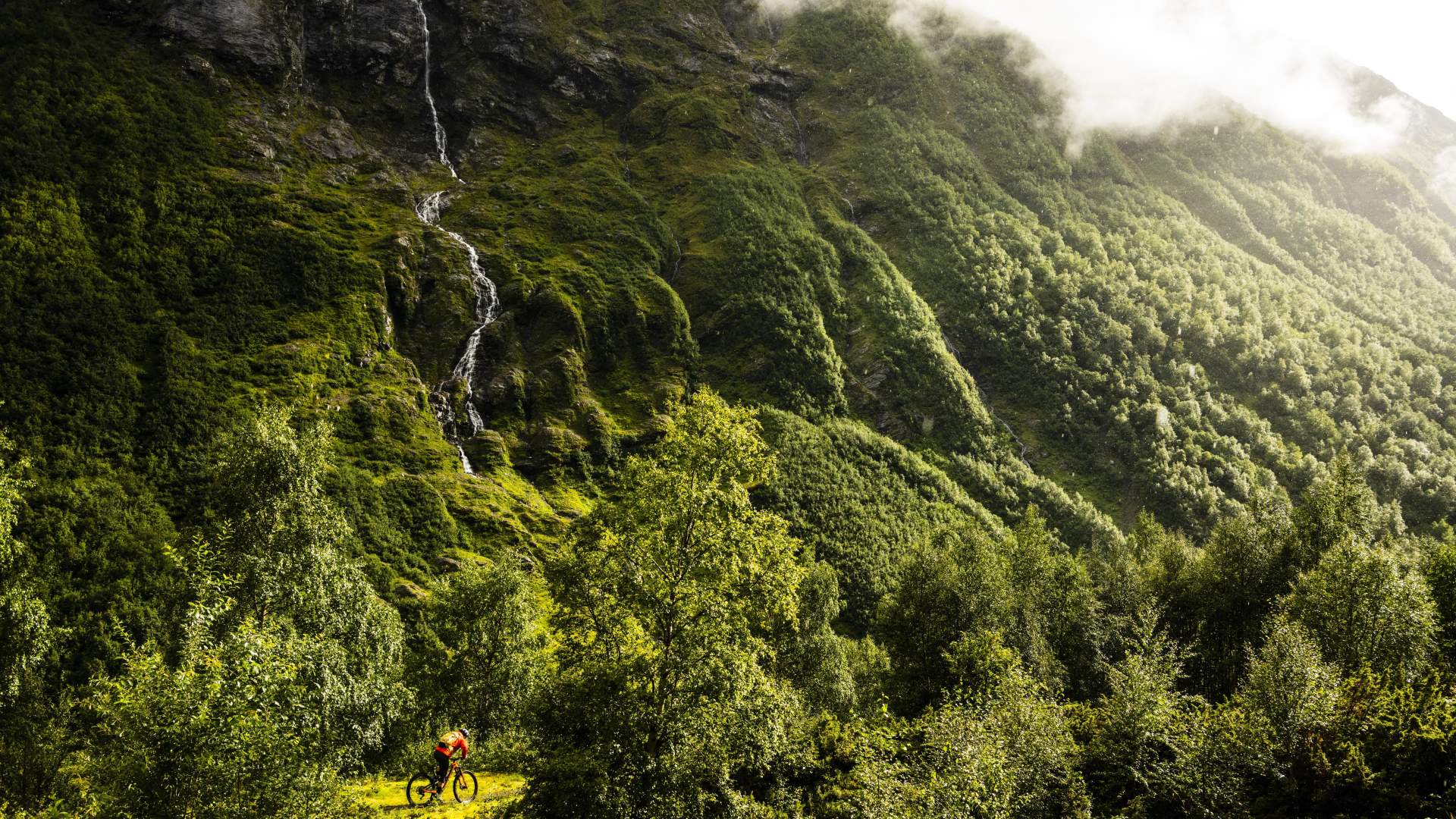 Trail cycling | Stryn
