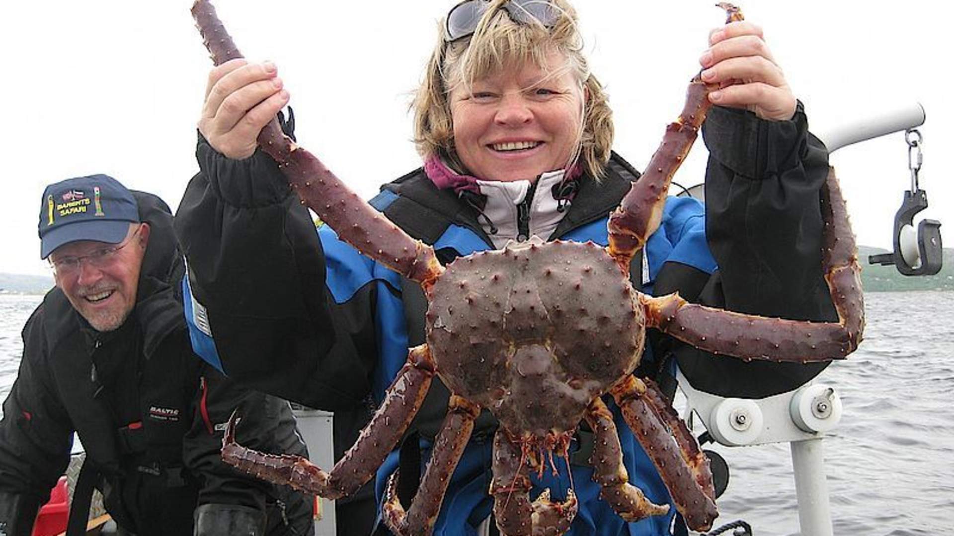 Nordlystur -  og Kongekrabbesafari med snøskuter - Barents Safari