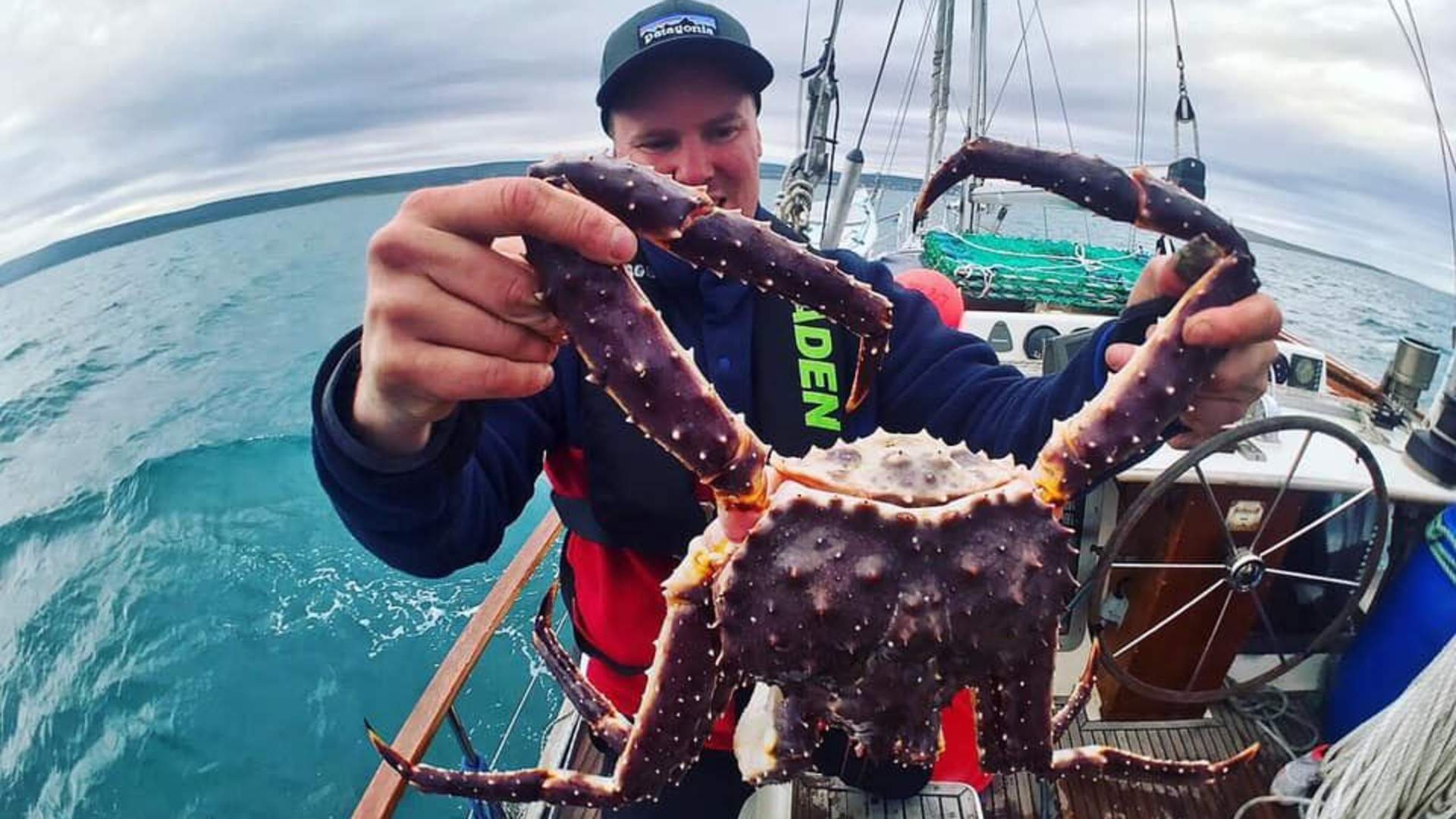 Not exactly the deadliest catch. Join our King Crab safari in the arctic  ocean., Action & Adventure, Vardø
