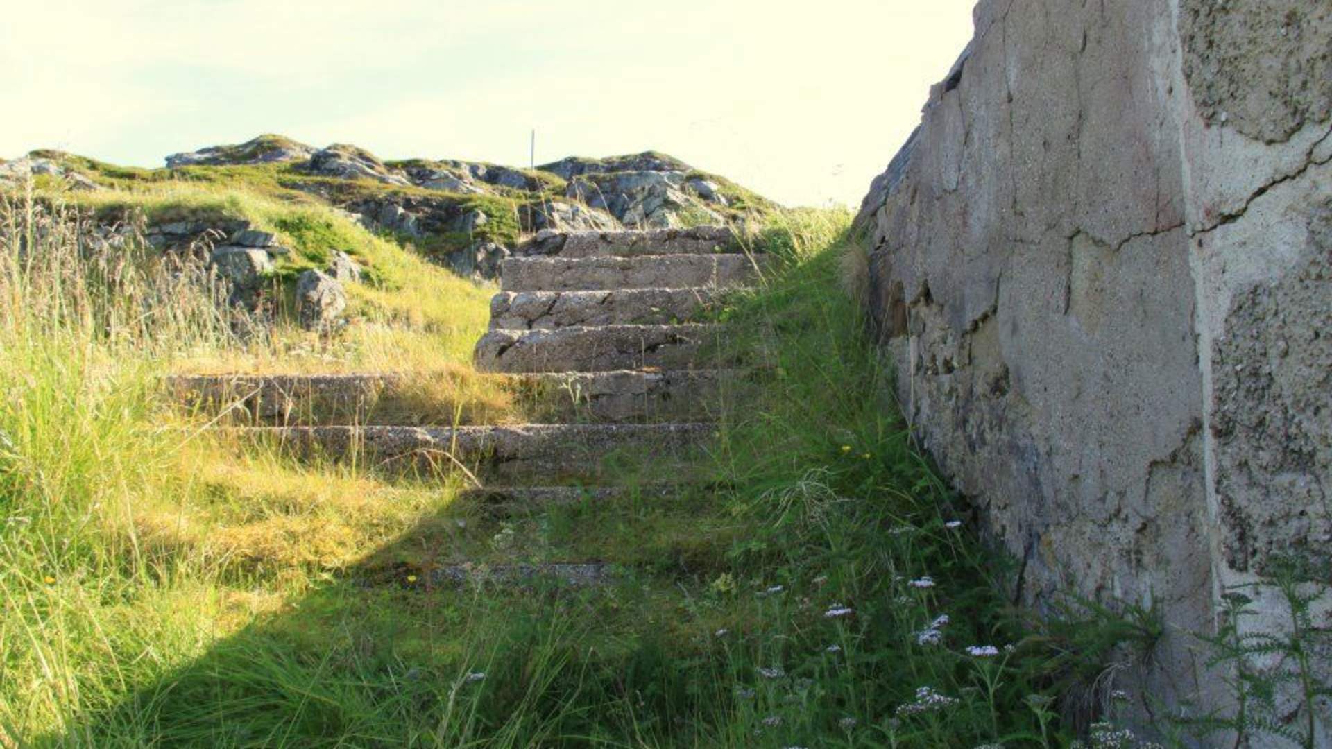 Historievandring på St. Vinna