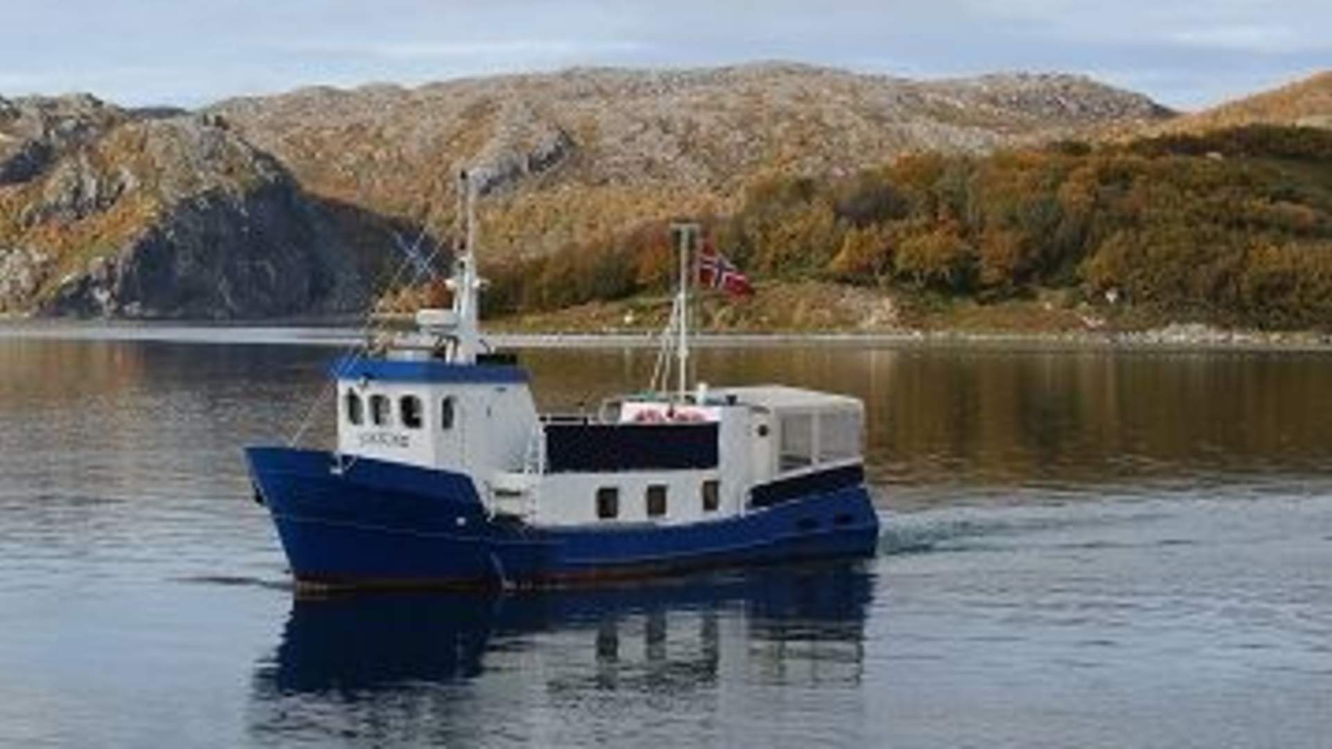 Kongekrabbesafari med båt - Artsafari