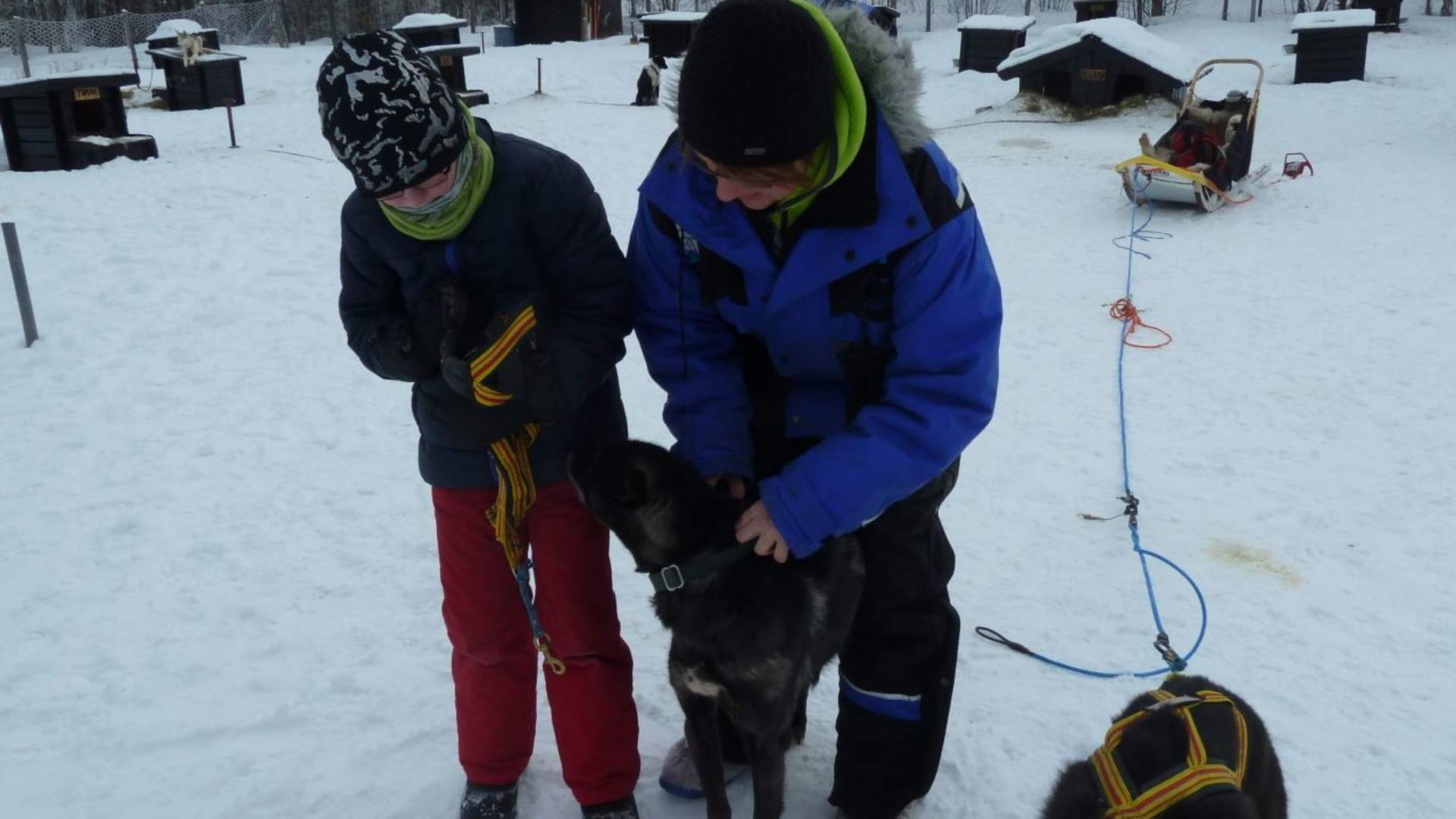 Day tour husky sledding with Birk Husky