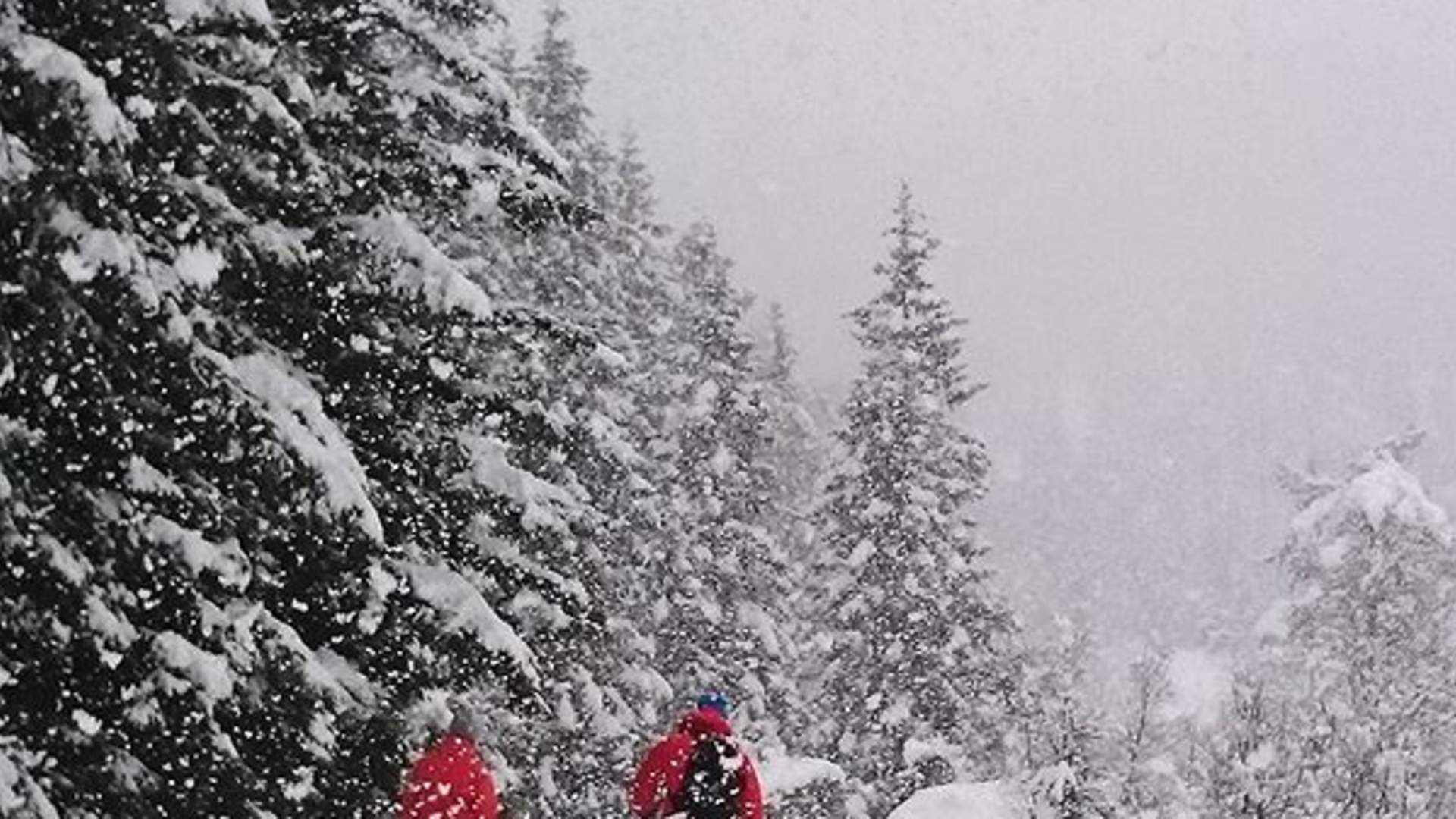 Wintertrips for companies, with Wild Voss