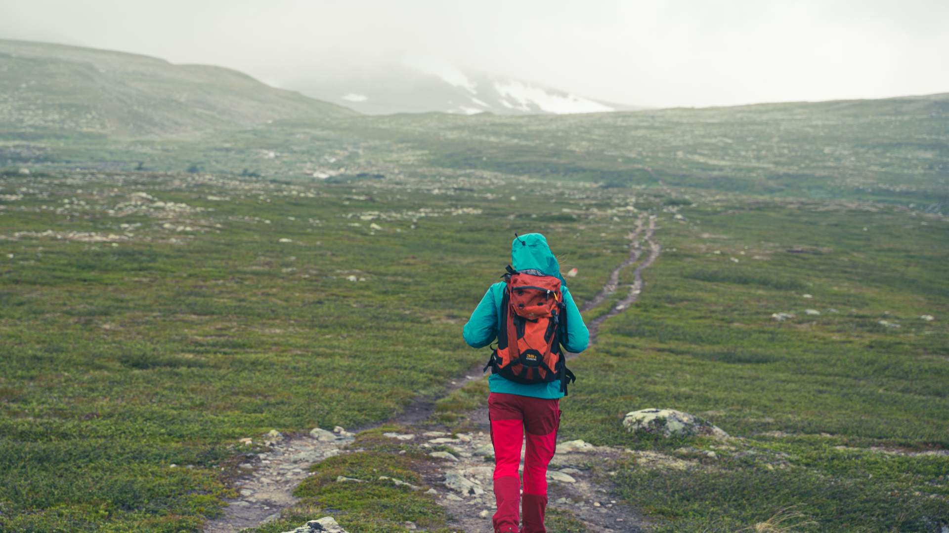 Saltfjellet-Svartisen National Park
