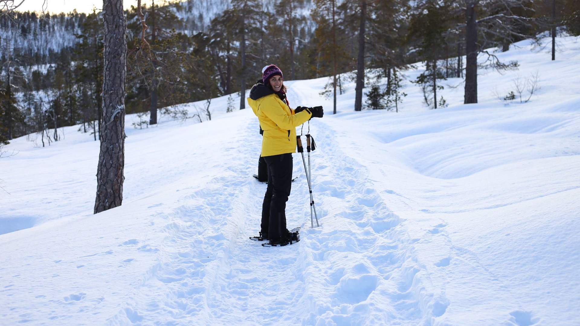 The Ånderdalen National Park - guidet snowshoe hike