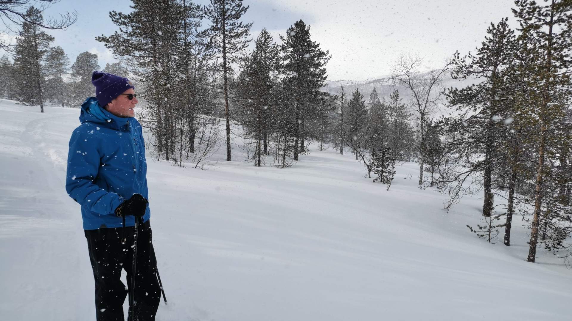 The Ånderdalen National Park - guidet snowshoe hike