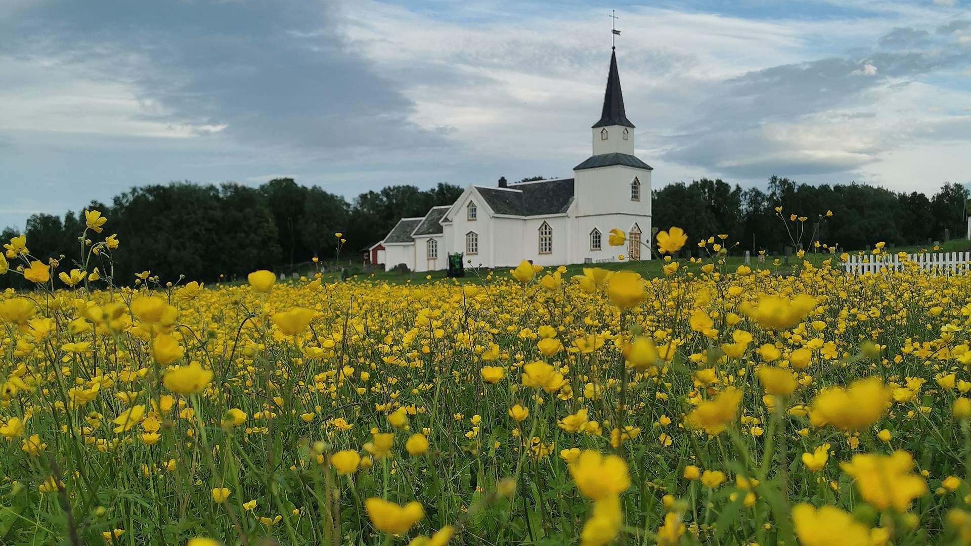 Guided cultural walk on Tranøya Island