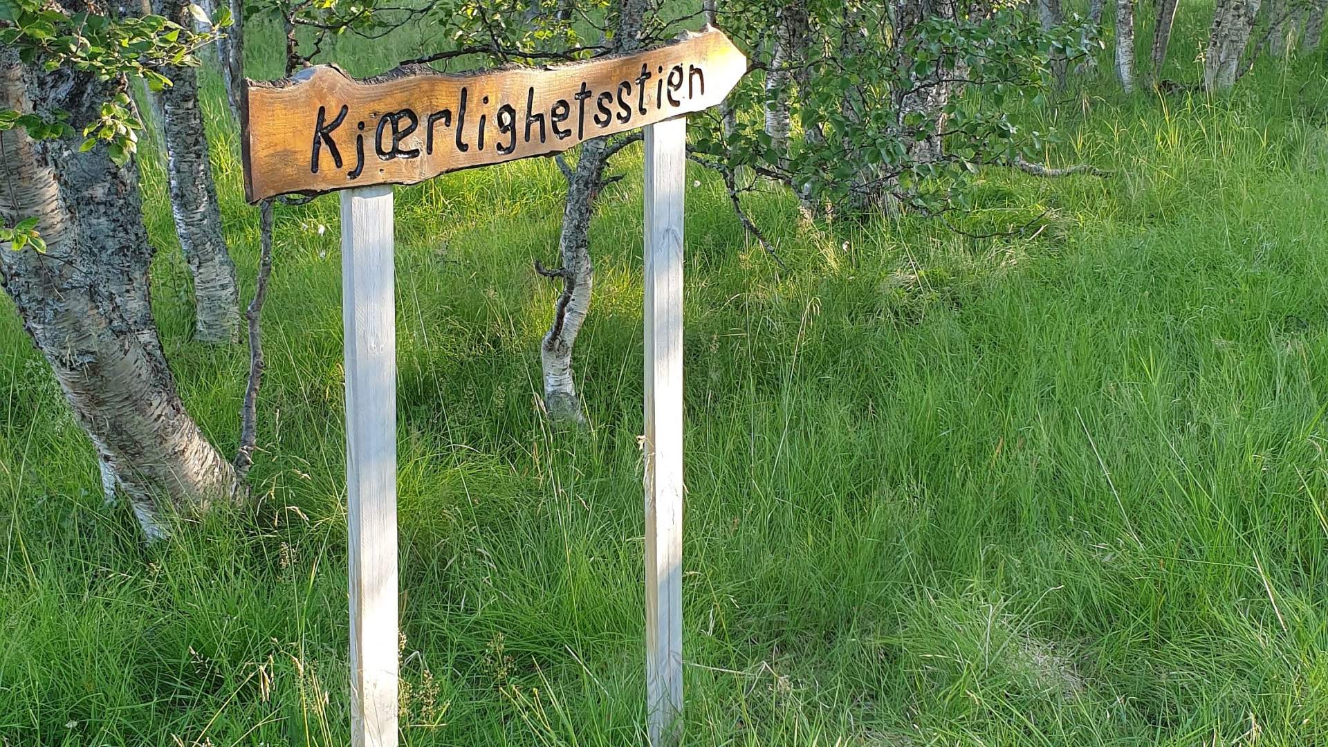 Guided cultural walk on Tranøya Island