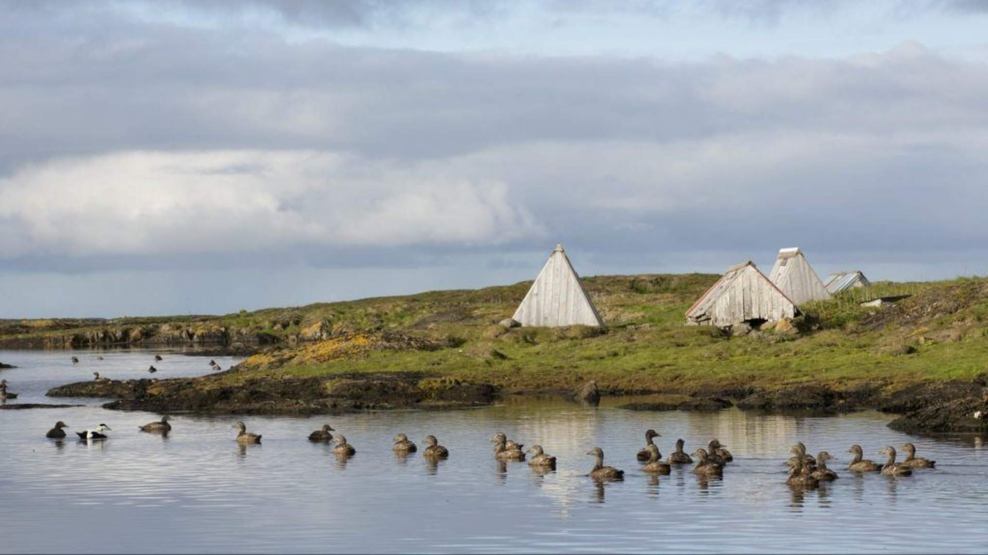 Lånan