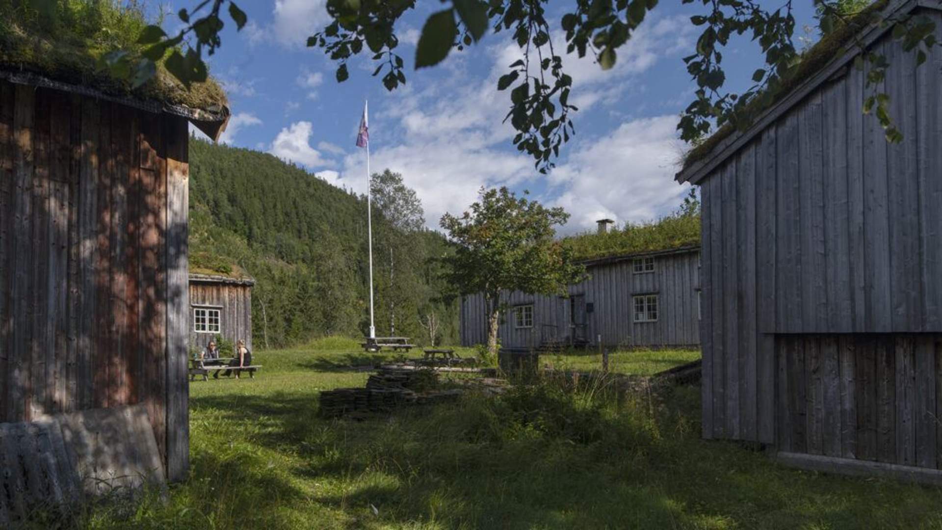 Velfjord/Brønnøy museum