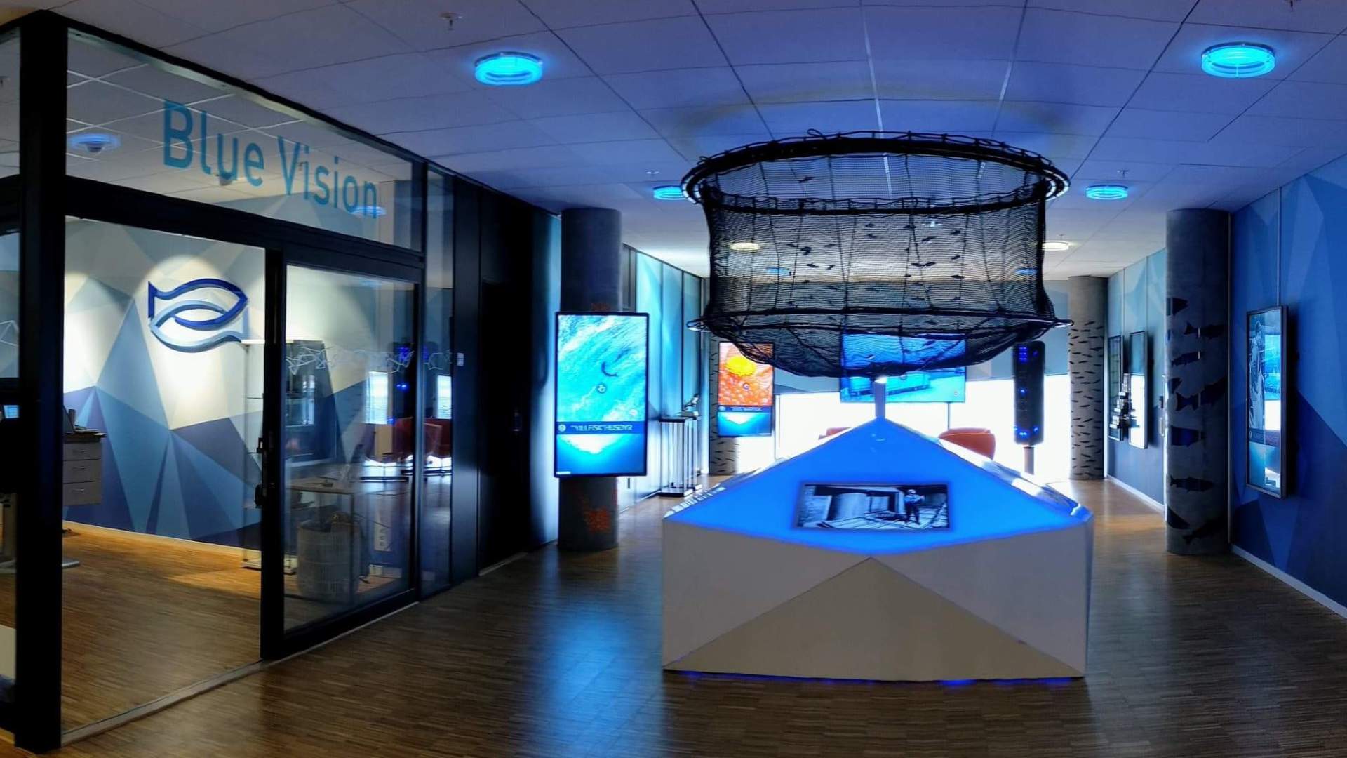 Blue Vision
