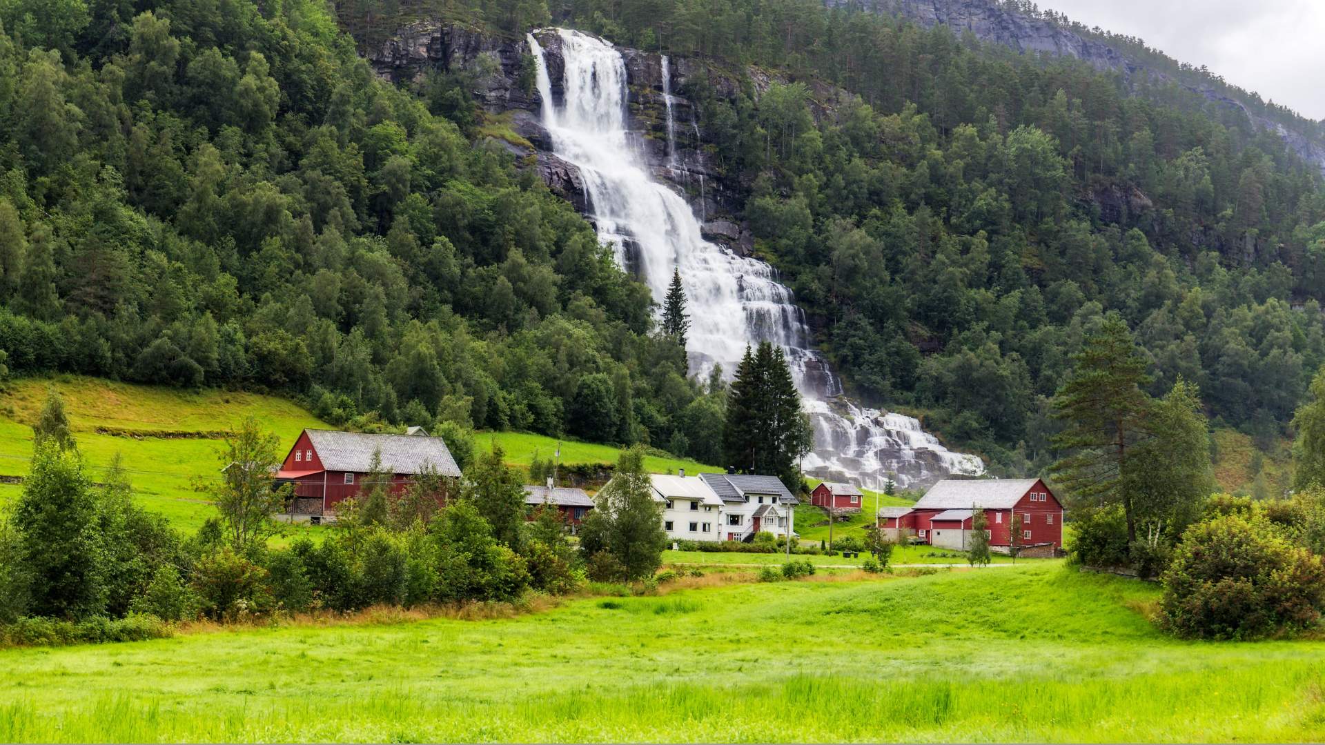 Guided Fjord and Glacier tour to Fjærland