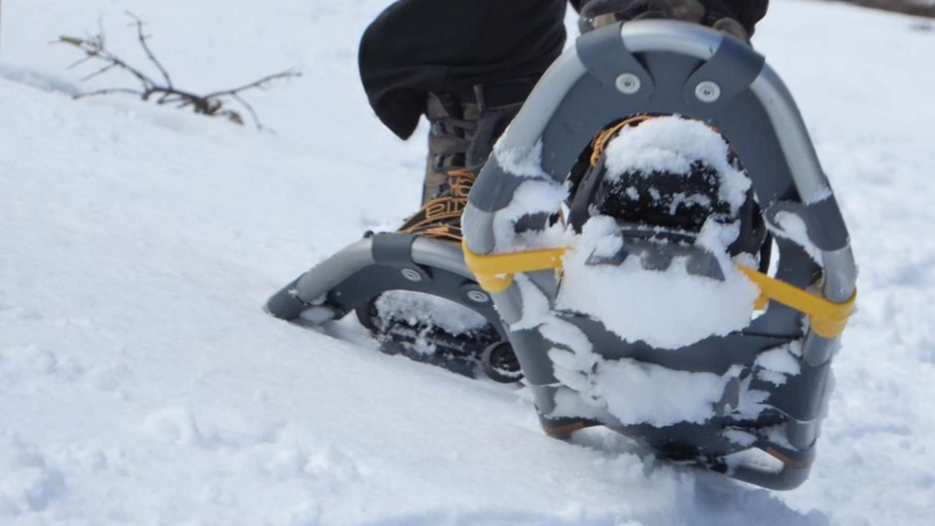 Snowshoe hike in beautiful Skibotn