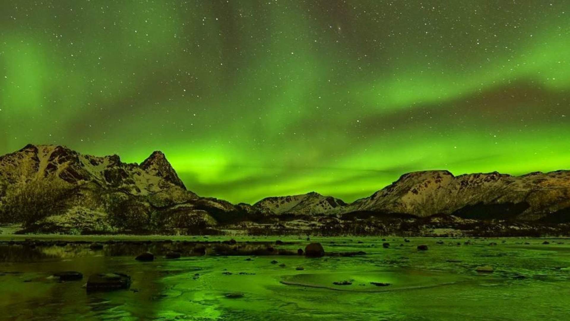 Privat Nordlys safari med katamaran i Tromsø &#8211; 4 Timer