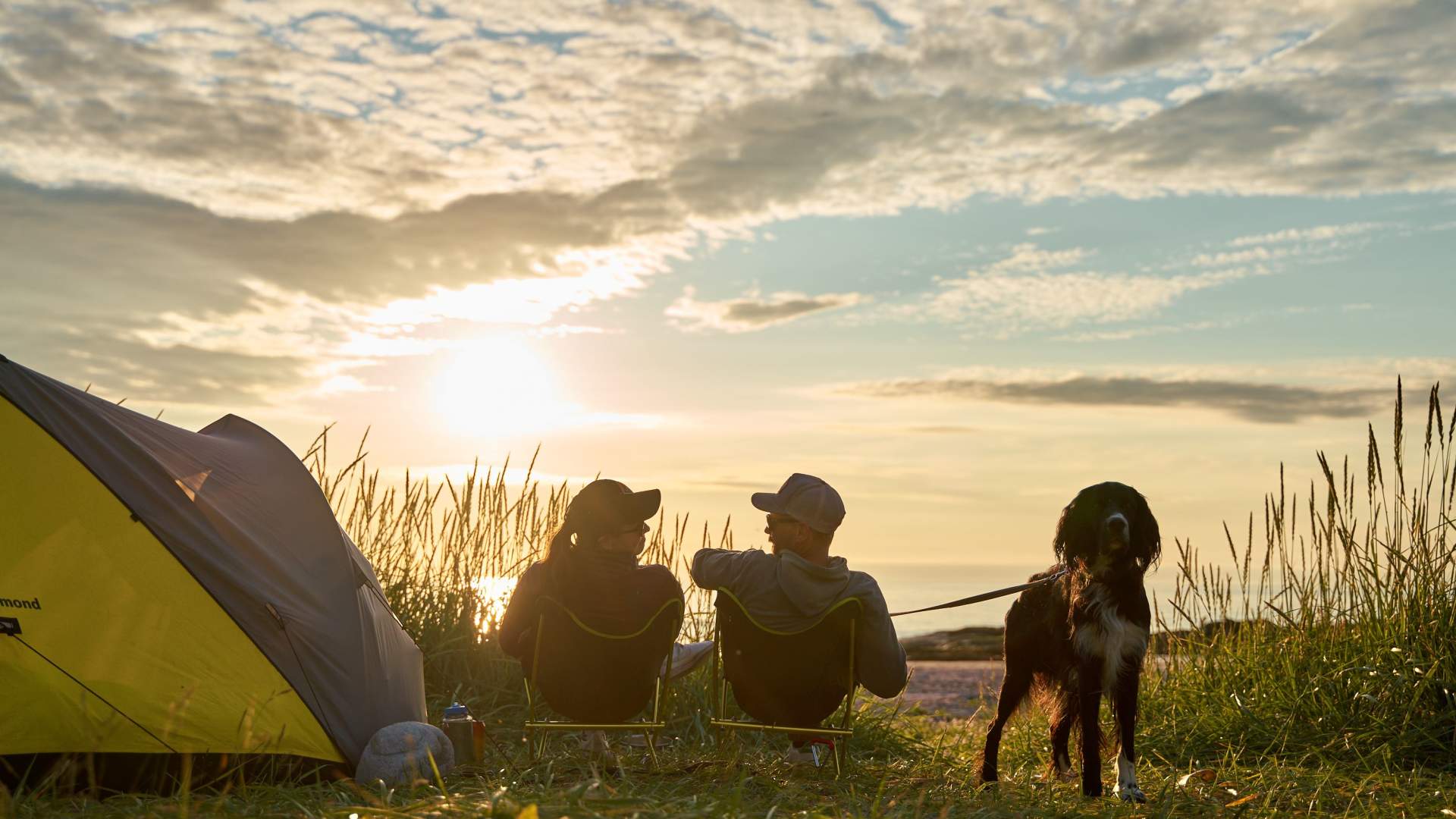 Camping by the midnight sun - Lofoten Beach Camp