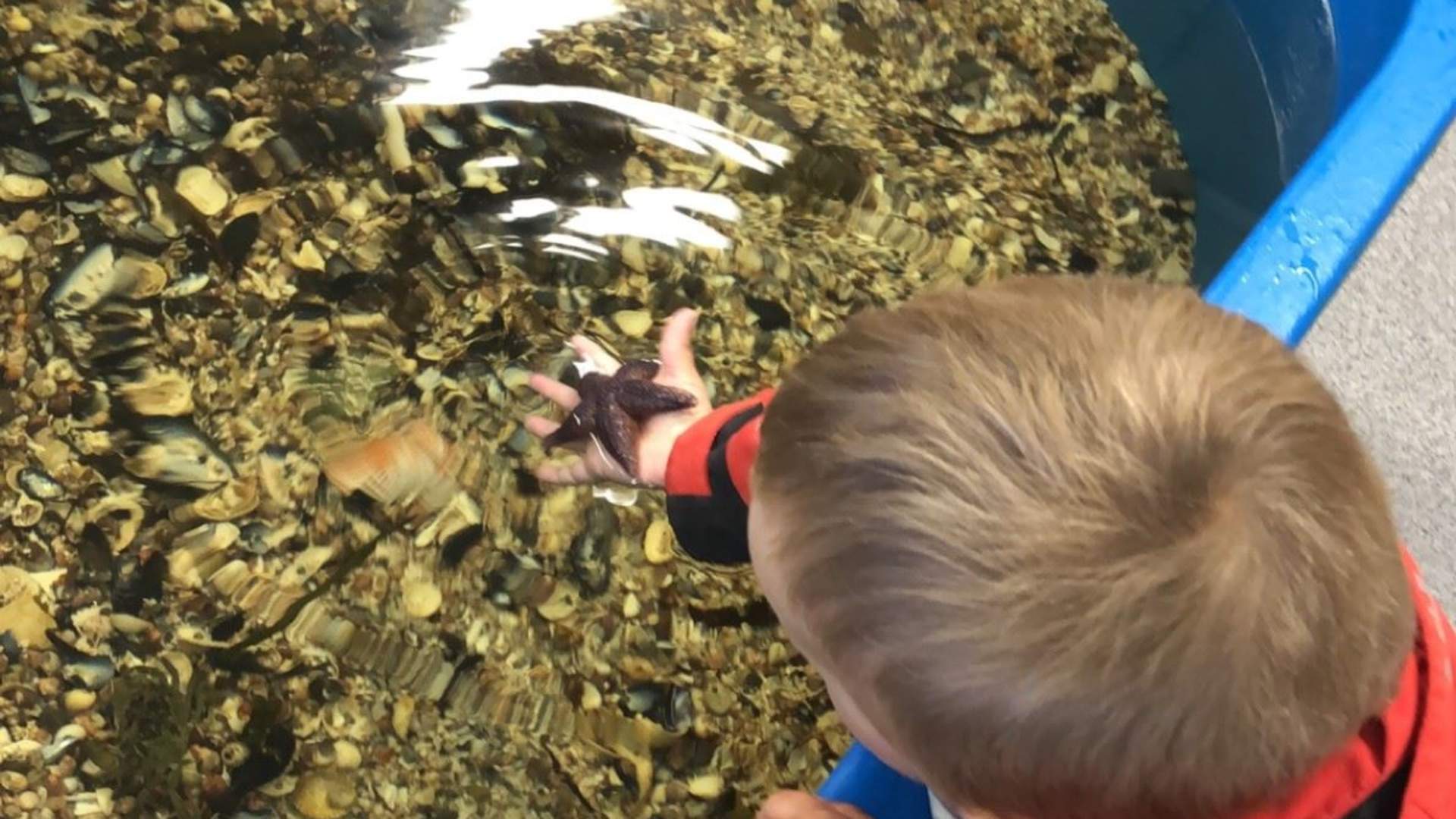 Salmon Center Gildeskål