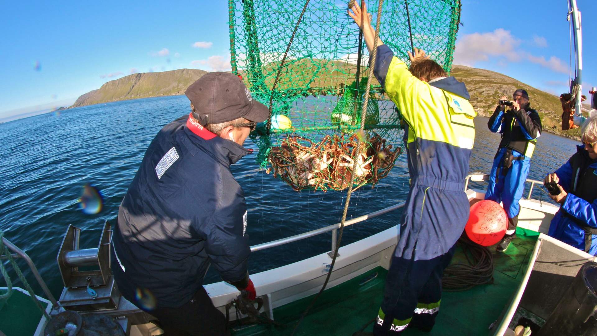 King crab & wildlife safari